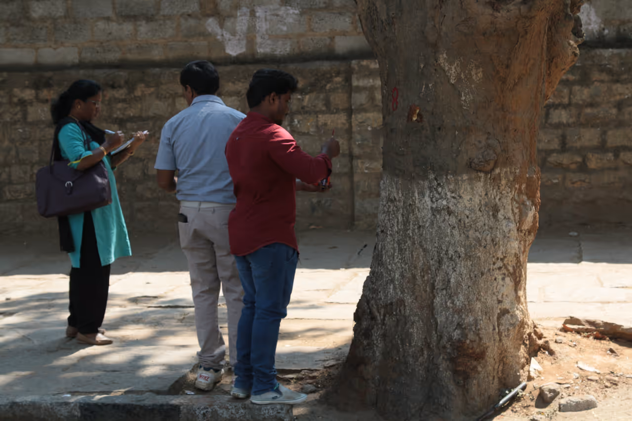 Rise up, Bengaluru, only you can save these trees on Jayama Rise up, Bengaluru, only you can save these trees on Jayama