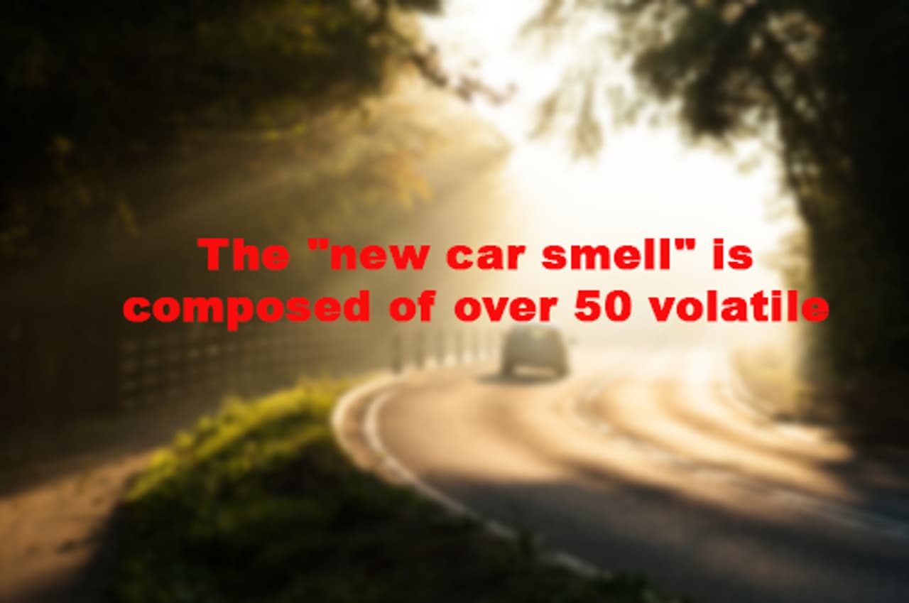 These five facts about auto will leave you shocked