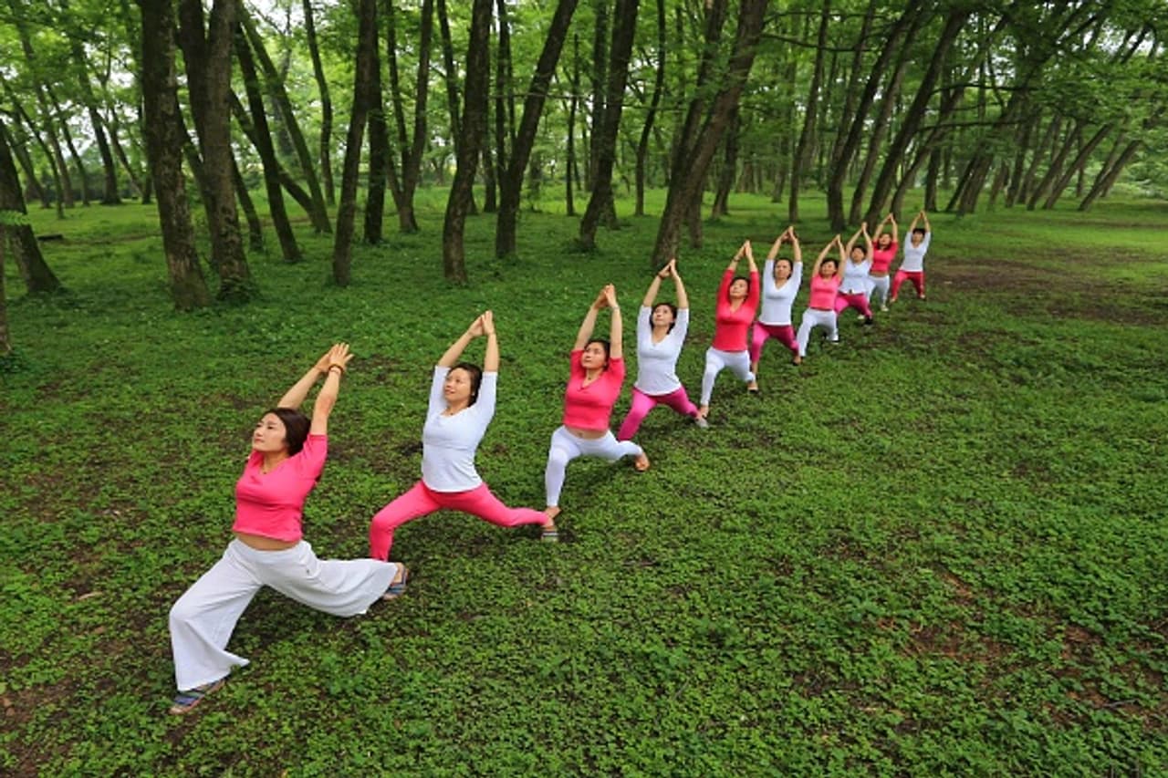 In pics: Yoga enthusiasts practice at a wetland in China In pics: Yoga enthusiasts practice at a wetland in China