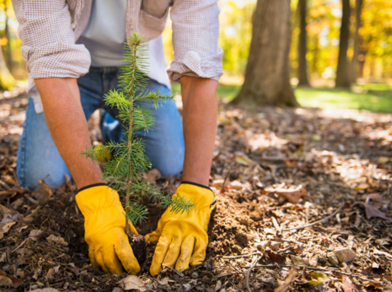 World Environment Day: 7 ideas will connect you to nature World Environment Day: 7 ideas will connect you to nature