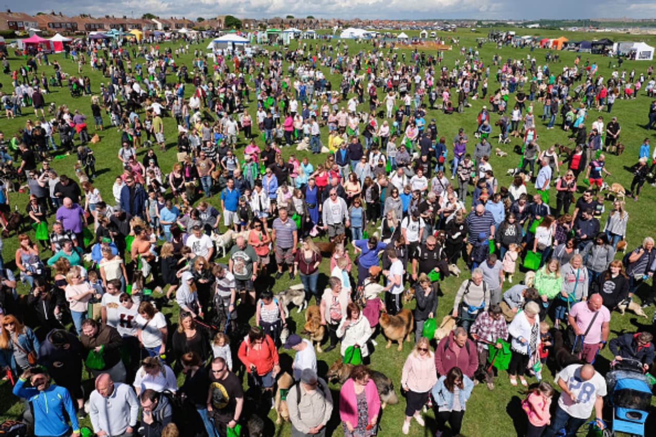 Treat for pet lovers, join this walk with 28000 dogs Treat for pet lovers, join this walk with 28000 dogs