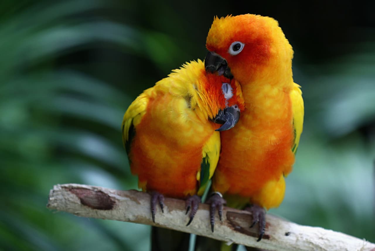 30 photos from the World you shouldn't miss 30 photos from the World you shouldn't miss