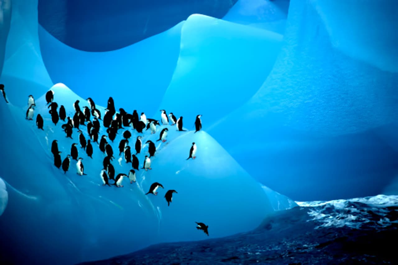 These 20 photos will make you want to visit Antarctica