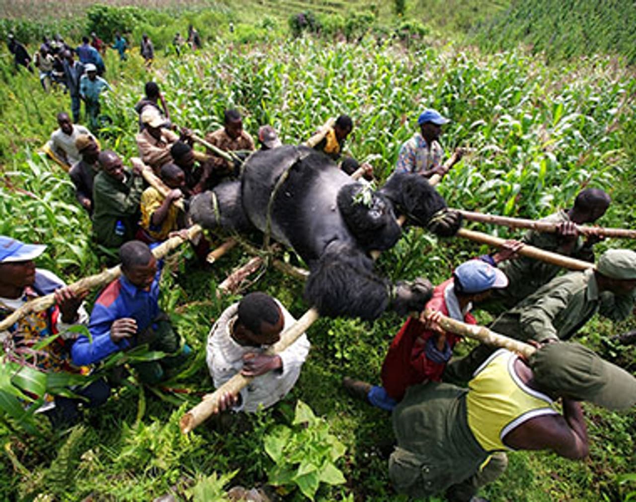 World photography day: 10 images more powerful than words World photography day: 10 images more powerful than words