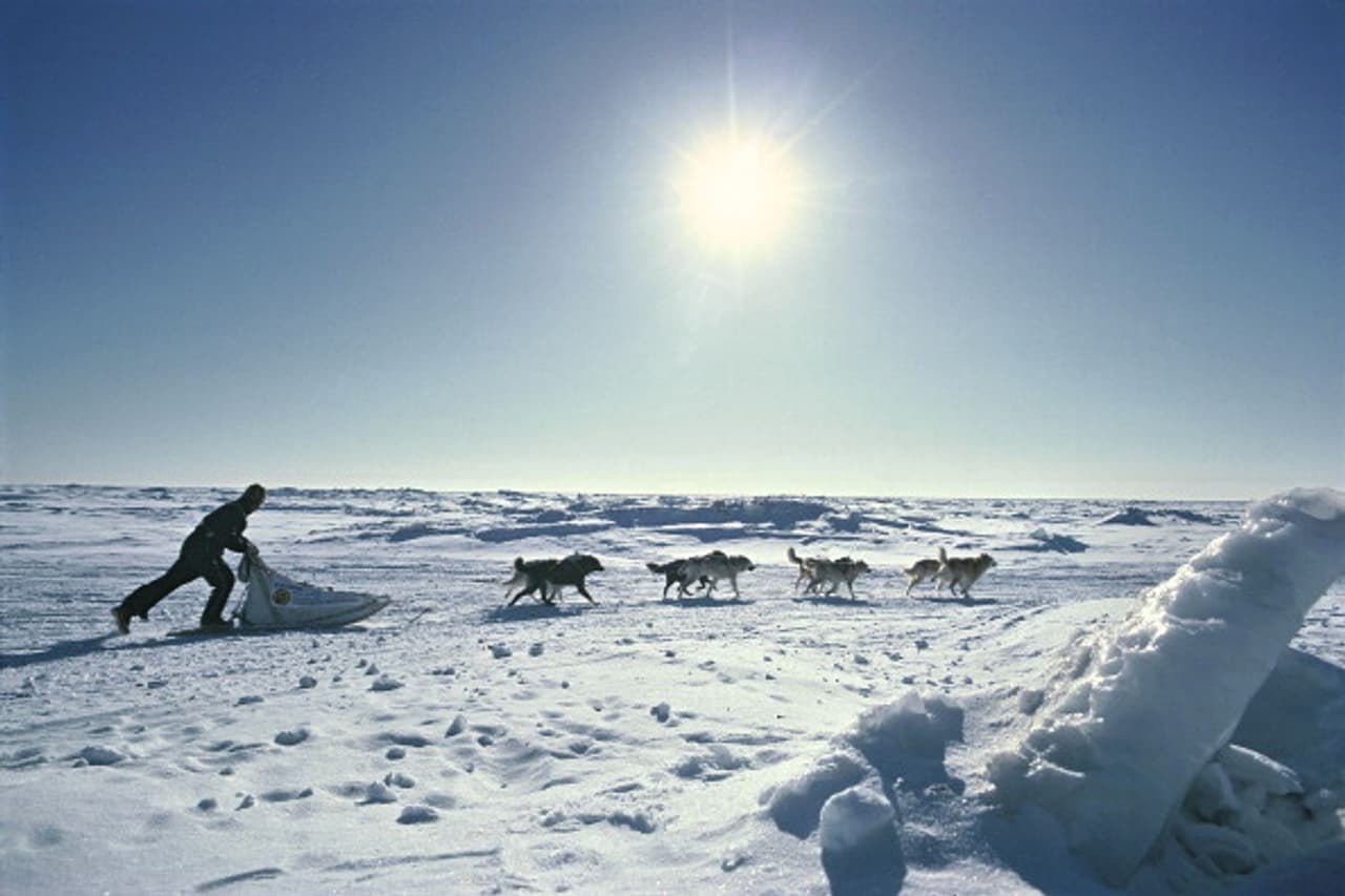 In pics: 15 reasons why you should visit Alaska this year In pics: 15 reasons why you should visit Alaska this year