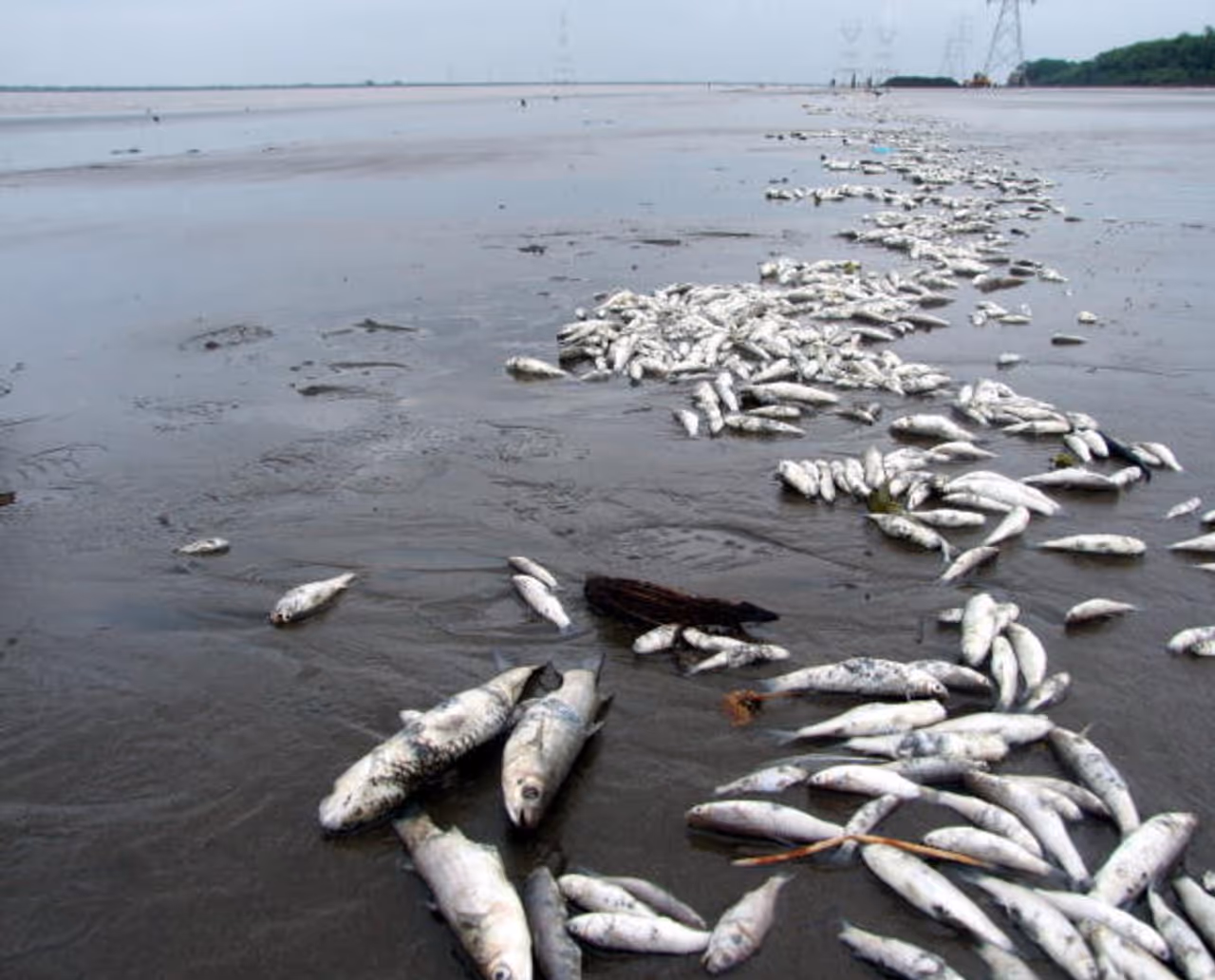 15 spooky places in the world that can make you shiver