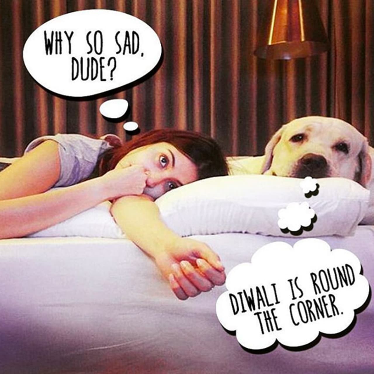 How to keep your fur baby safe this Diwali How to keep your fur baby safe this Diwali