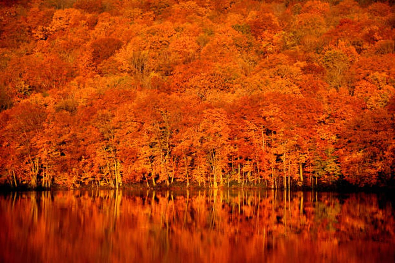 Striking and unusual: 14 photos you must see Striking and unusual: 14 photos you must see