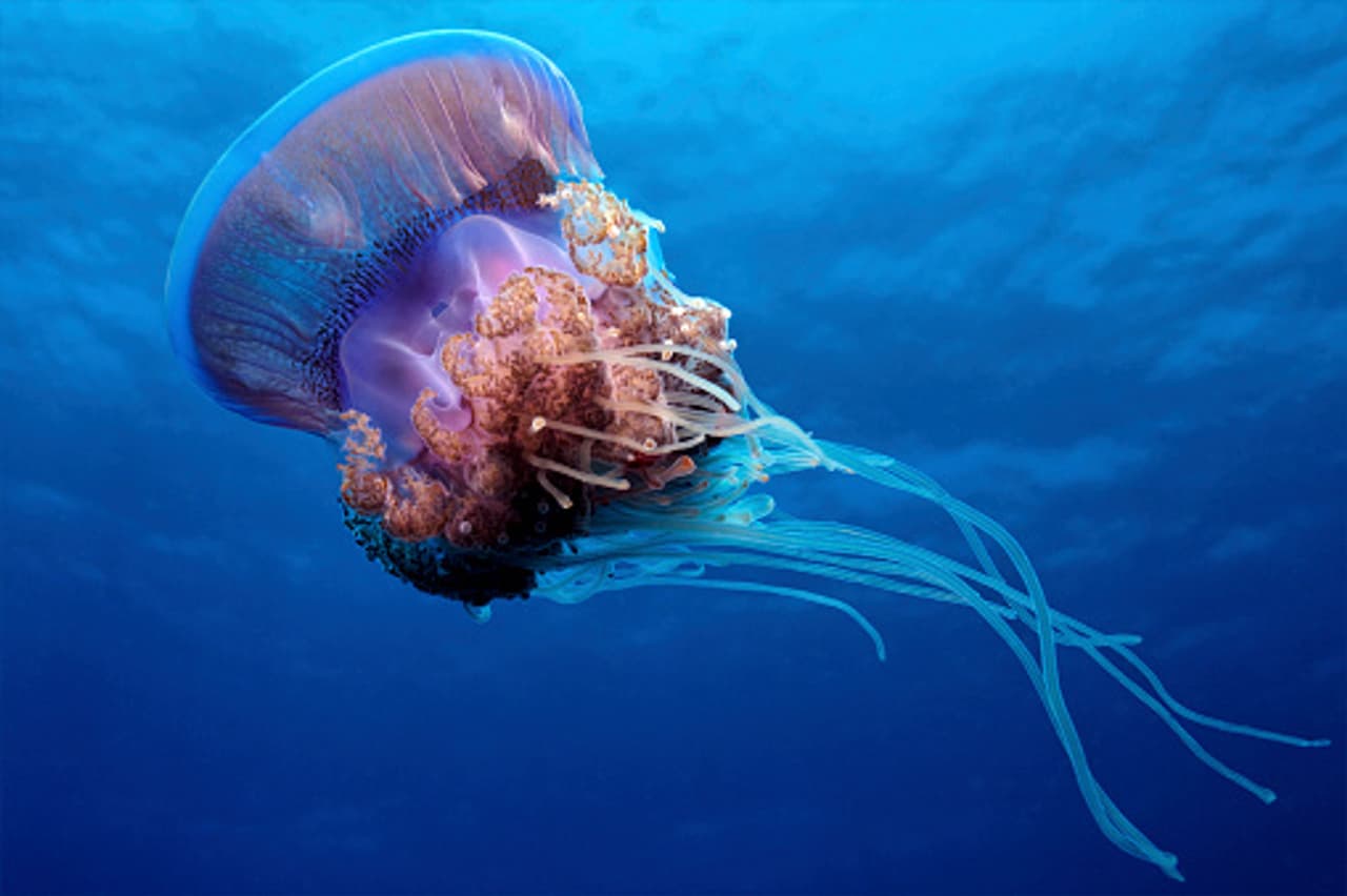 11 mind blowing facts you didn't even know about death 11 mind blowing facts you didn't even know about death