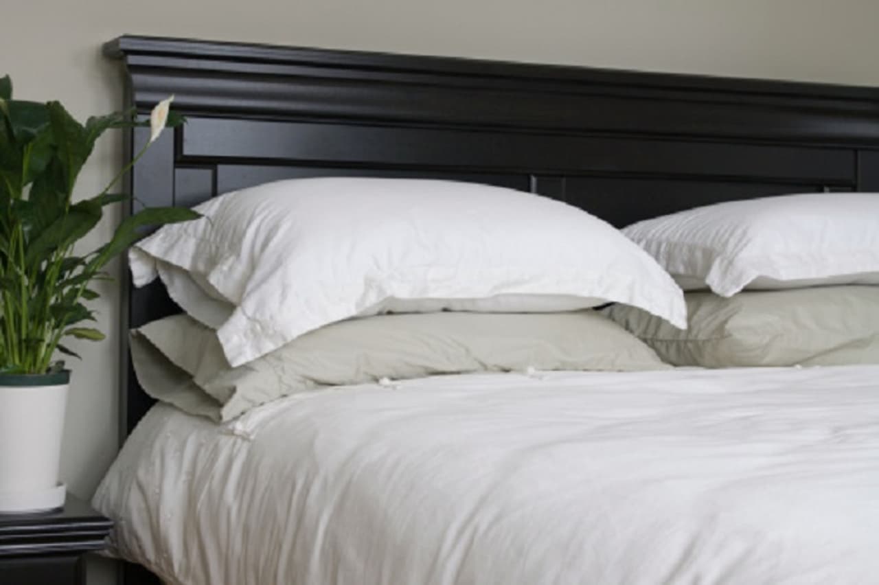 <p style="text align: justify;">ಕೆಲವರಿಗೆ ಮಲಗುವಾಗ ದಿಂಬು ಬೇಕು. ದಿಂಬುಗಳಿಲ್ಲದೆ ಅವರು ನಿದ್ರಿಸುವುದಿಲ್ಲ. ಕೆಲವರು ಮಲಗುವ ಸಮಯದಲ್ಲಿ ತಲೆಯ ಕೆಳಗೆ ದಪ್ಪನೆಯ ದಿಂಬನ್ನು ಹೊಂದಿದ್ದರೆ, ಕೆಲವರು 3 4 ದಿಂಬುಗಳನ್ನು ಇಟ್ಟು ಮಲಗುತ್ತಾರೆ. ಇದು ಆರಾಮದಾಯಕ ಎಂದು ಅನಿಸಬಹುದು. ಆದರೆ ಇದರಿಂದ ಬಹಳಷ್ಟು ಹಾನಿಯಾಗುತ್ತದೆ ಅನ್ನೋದು ತಿಳಿದಿರಬೇಕು. ಹೆಚ್ಚು ದಿಂಬು ಇಟ್ಟು ಮಲಗುವುದರಿಂದ ಏನೆಲ್ಲಾ ಸಮಸ್ಯೆ ಉಂಟಾಗುತ್ತದೆ ಮಾಹಿತಿ ಇಲ್ಲಿದೆ... </p> <p style="text align: justify;">ಕೆಲವರಿಗೆ ಮಲಗುವಾಗ ದಿಂಬು ಬೇಕು. ದಿಂಬುಗಳಿಲ್ಲದೆ ಅವರು ನಿದ್ರಿಸುವುದಿಲ್ಲ. ಕೆಲವರು ಮಲಗುವ ಸಮಯದಲ್ಲಿ ತಲೆಯ ಕೆಳಗೆ ದಪ್ಪನೆಯ ದಿಂಬನ್ನು ಹೊಂದಿದ್ದರೆ, ಕೆಲವರು 3 4 ದಿಂಬುಗಳನ್ನು ಇಟ್ಟು ಮಲಗುತ್ತಾರೆ. ಇದು ಆರಾಮದಾಯಕ ಎಂದು ಅನಿಸಬಹುದು. ಆದರೆ ಇದರಿಂದ ಬಹಳಷ್ಟು ಹಾನಿಯಾಗುತ್ತದೆ ಅನ್ನೋದು ತಿಳಿದಿರಬೇಕು. ಹೆಚ್ಚು ದಿಂಬು ಇಟ್ಟು ಮಲಗುವುದರಿಂದ ಏನೆಲ್ಲಾ ಸಮಸ್ಯೆ ಉಂಟಾಗುತ್ತದೆ ಮಾಹಿತಿ ಇಲ್ಲಿದೆ... </p>