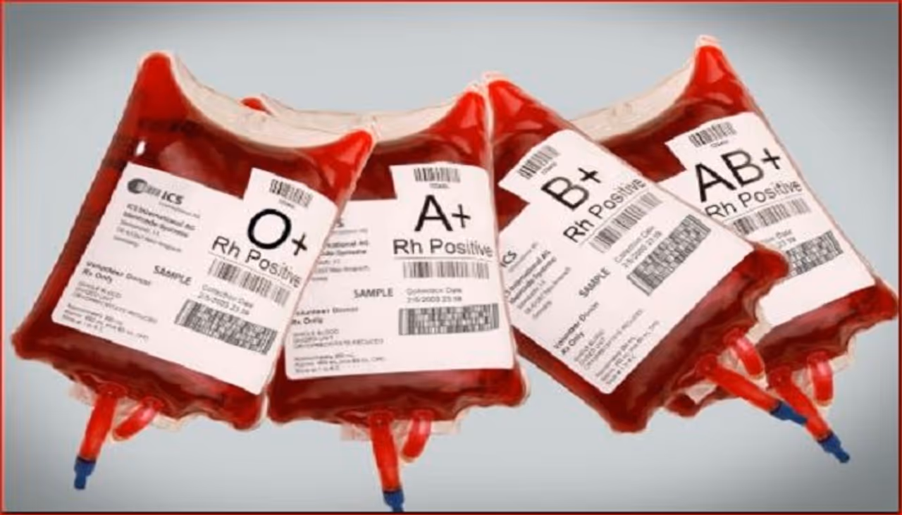 <p>దెబ్బ తగిలితే మనిషి శరీరం నుంచి బయటకు వచ్చేది రక్తమే అయినా.. ఆ రక్తంలోనూ రకాలు ఉన్నాయి. అందరి రక్తం ఒకేలా ఉండదు. బ్లడ్ గ్రూప్స్ ఉంటాయి అన్న విషయం మనకు తెలుసు. అయితే.. మనిషి బ్లడ్ గ్రూప్ ని బట్టి.. వాళ్ల వ్యక్తిత్వం ఎలాంటిదో చెప్పేయవచ్చట. </p> <p>దెబ్బ తగిలితే మనిషి శరీరం నుంచి బయటకు వచ్చేది రక్తమే అయినా.. ఆ రక్తంలోనూ రకాలు ఉన్నాయి. అందరి రక్తం ఒకేలా ఉండదు. బ్లడ్ గ్రూప్స్ ఉంటాయి అన్న విషయం మనకు తెలుసు. అయితే.. మనిషి బ్లడ్ గ్రూప్ ని బట్టి.. వాళ్ల వ్యక్తిత్వం ఎలాంటిదో చెప్పేయవచ్చట. </p>