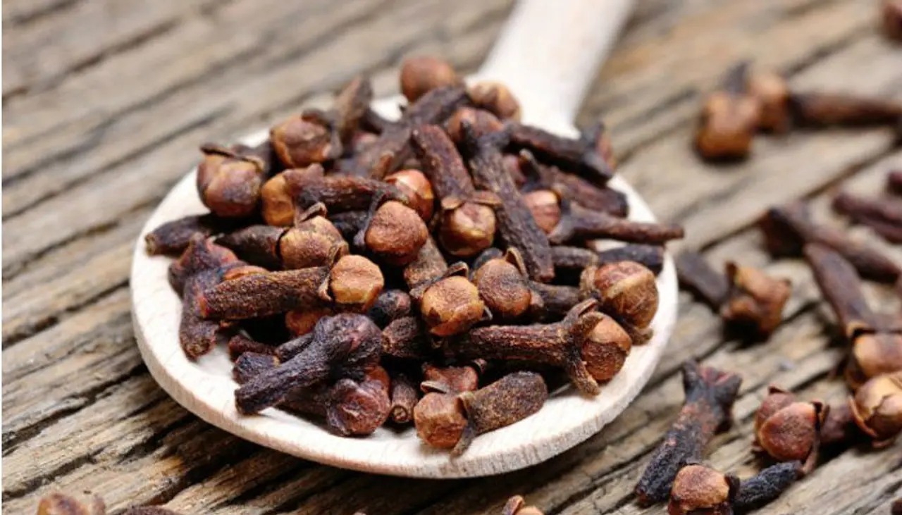 <p>Clove or Laung is a store house of health benefits. It holds great importance traditionally, especially in East Asia. In Ayurveda and Traditional Chinese medicine, it has been used extensively. By the 17th century clove gained recognition throughout the world. Apart from adding flavour and aroma to your curries and biryani, people use its oil, leaves, stems and dried buds for various medicinal and health purposes.</p> <p>Clove or Laung is a store house of health benefits. It holds great importance traditionally, especially in East Asia. In Ayurveda and Traditional Chinese medicine, it has been used extensively. By the 17th century clove gained recognition throughout the world. Apart from adding flavour and aroma to your curries and biryani, people use its oil, leaves, stems and dried buds for various medicinal and health purposes.</p>