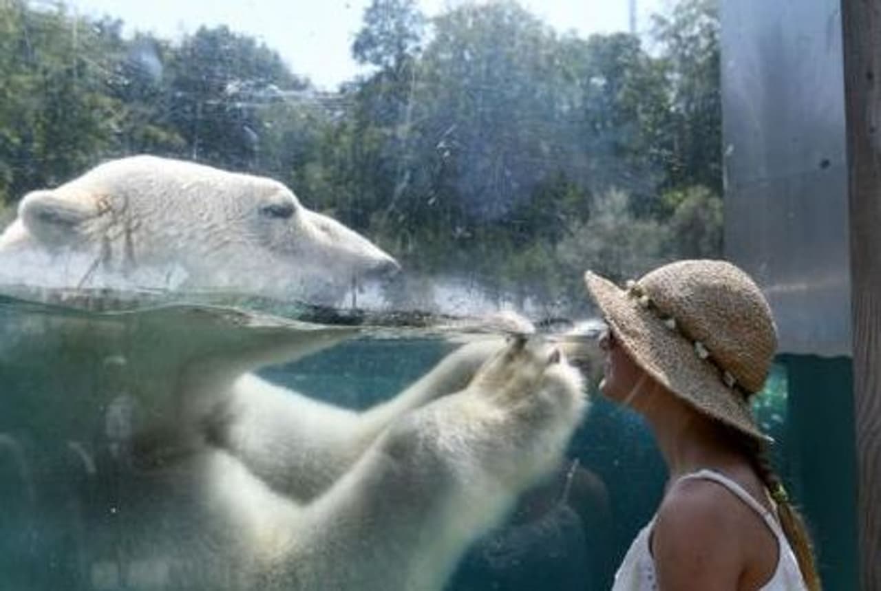 amazing photos amazing photos