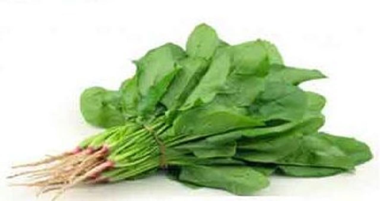 ಪಾಲಕ್ ಸೊಪ್ಪು