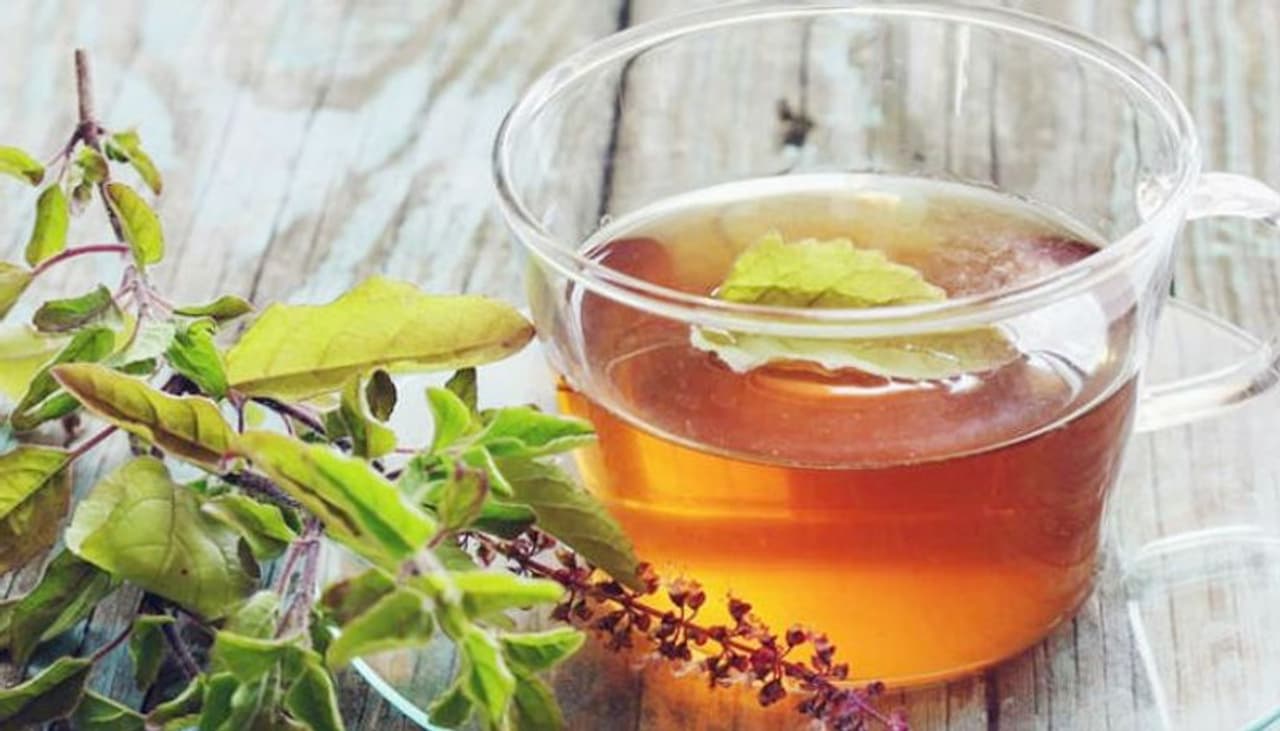 <p style="text align: justify;">Also known as the 'queen of herbs', holy basil or tulsi makes for the most sacred herb in India. It is widely used in culinary practices. For ages, it has been known for its medicinal uses in Ayurveda that makes it an effective remedy for several ailments.</p> <p style="text align: justify;">Also known as the 'queen of herbs', holy basil or tulsi makes for the most sacred herb in India. It is widely used in culinary practices. For ages, it has been known for its medicinal uses in Ayurveda that makes it an effective remedy for several ailments.</p>