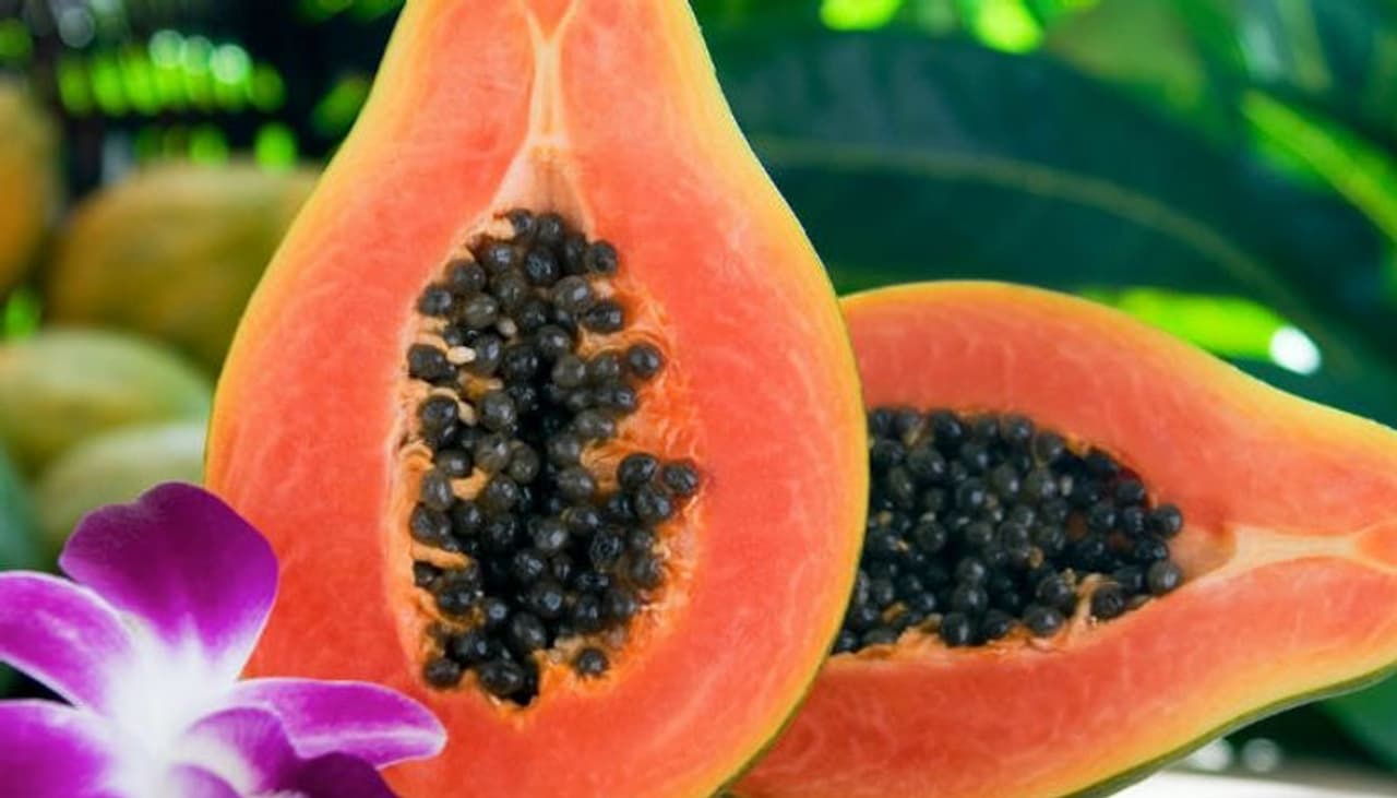 <p><strong>പപ്പായ: </strong>എൻസൈമുകളും ധാതുക്കളും ധാരാളമായി പപ്പായയിൽ അടങ്ങിയിരിക്കുന്നു. ദിവസേന പപ്പായ ജ്യൂസ് മുഖത്ത് പുരട്ടുന്നതും പപ്പായ കഴിക്കുന്നതും കറുത്ത പാടുകൾ മാറാൻ സഹായിക്കുന്നു. ചർമ്മത്തിന് സ്വാഭാവിക തിളക്കം നൽകാനും ഇത് സഹായിക്കുന്നു. </p> <p><strong>പപ്പായ: </strong>എൻസൈമുകളും ധാതുക്കളും ധാരാളമായി പപ്പായയിൽ അടങ്ങിയിരിക്കുന്നു. ദിവസേന പപ്പായ ജ്യൂസ് മുഖത്ത് പുരട്ടുന്നതും പപ്പായ കഴിക്കുന്നതും കറുത്ത പാടുകൾ മാറാൻ സഹായിക്കുന്നു. ചർമ്മത്തിന് സ്വാഭാവിക തിളക്കം നൽകാനും ഇത് സഹായിക്കുന്നു. </p>