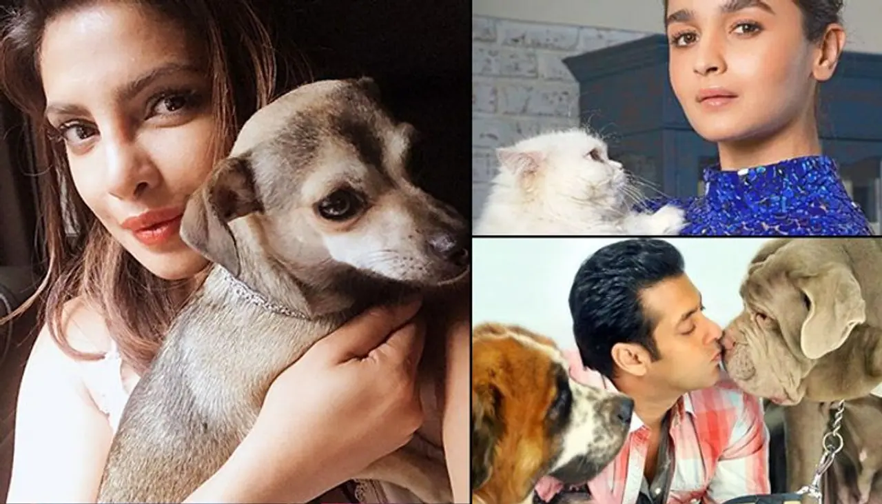 Celebrate your four legged best friend just like these celebrities