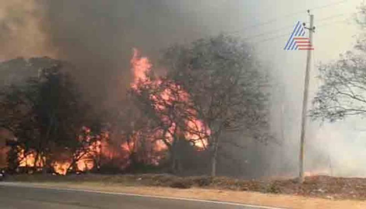 ಮೂರು ವರ್ಷಗಳ ಹಿಂದಷ್ಟೇ ಭಾರೀ ಕಾಡ್ಗಿಚ್ಚಿಯಿಂದ ನಲುಗಿದ್ದ ಬಂಡೀಪುರ ಹುಲಿ ಸಂರಕ್ಷಿತ ಅರಣ್ಯ ಮತ್ತೊಂದು ಬೆಂಕಿಯ ರುದ್ರನರ್ತನಕ್ಕೆ ಸಾಕ್ಷಿಯಾಗುತ್ತಿದೆ. ಮೂರು ವರ್ಷಗಳ ಹಿಂದಷ್ಟೇ ಭಾರೀ ಕಾಡ್ಗಿಚ್ಚಿಯಿಂದ ನಲುಗಿದ್ದ ಬಂಡೀಪುರ ಹುಲಿ ಸಂರಕ್ಷಿತ ಅರಣ್ಯ ಮತ್ತೊಂದು ಬೆಂಕಿಯ ರುದ್ರನರ್ತನಕ್ಕೆ ಸಾಕ್ಷಿಯಾಗುತ್ತಿದೆ.