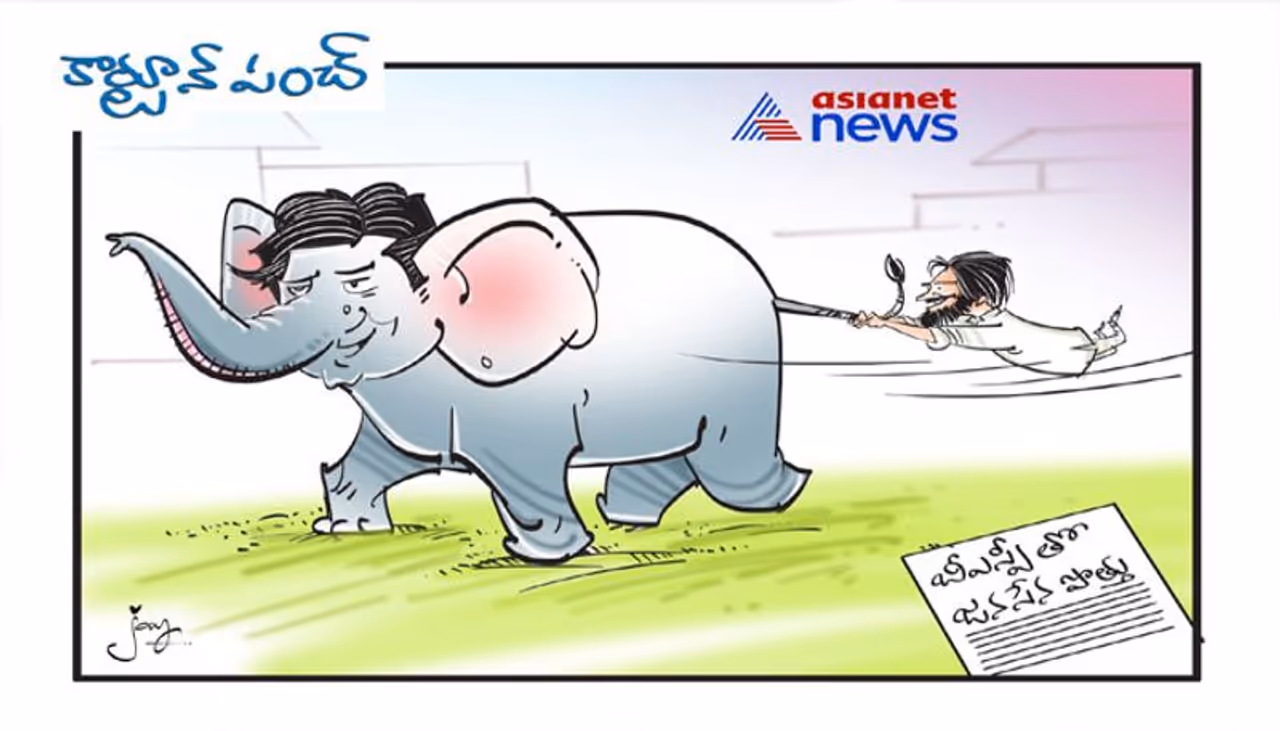 కార్టూన్ పంచ్