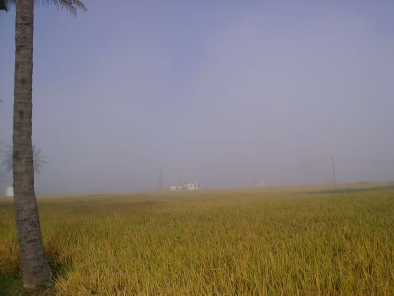 Pictures of Varthur lake clicked in 2007 Pictures of Varthur lake clicked in 2007