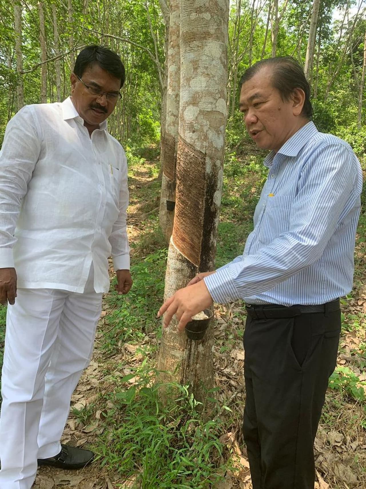 మలేషియా పర్యటనలో మంత్రి సింగిరెడ్డి నిరంజన్ రెడ్డి (ఫోటోలు) మలేషియా పర్యటనలో మంత్రి సింగిరెడ్డి నిరంజన్ రెడ్డి (ఫోటోలు)