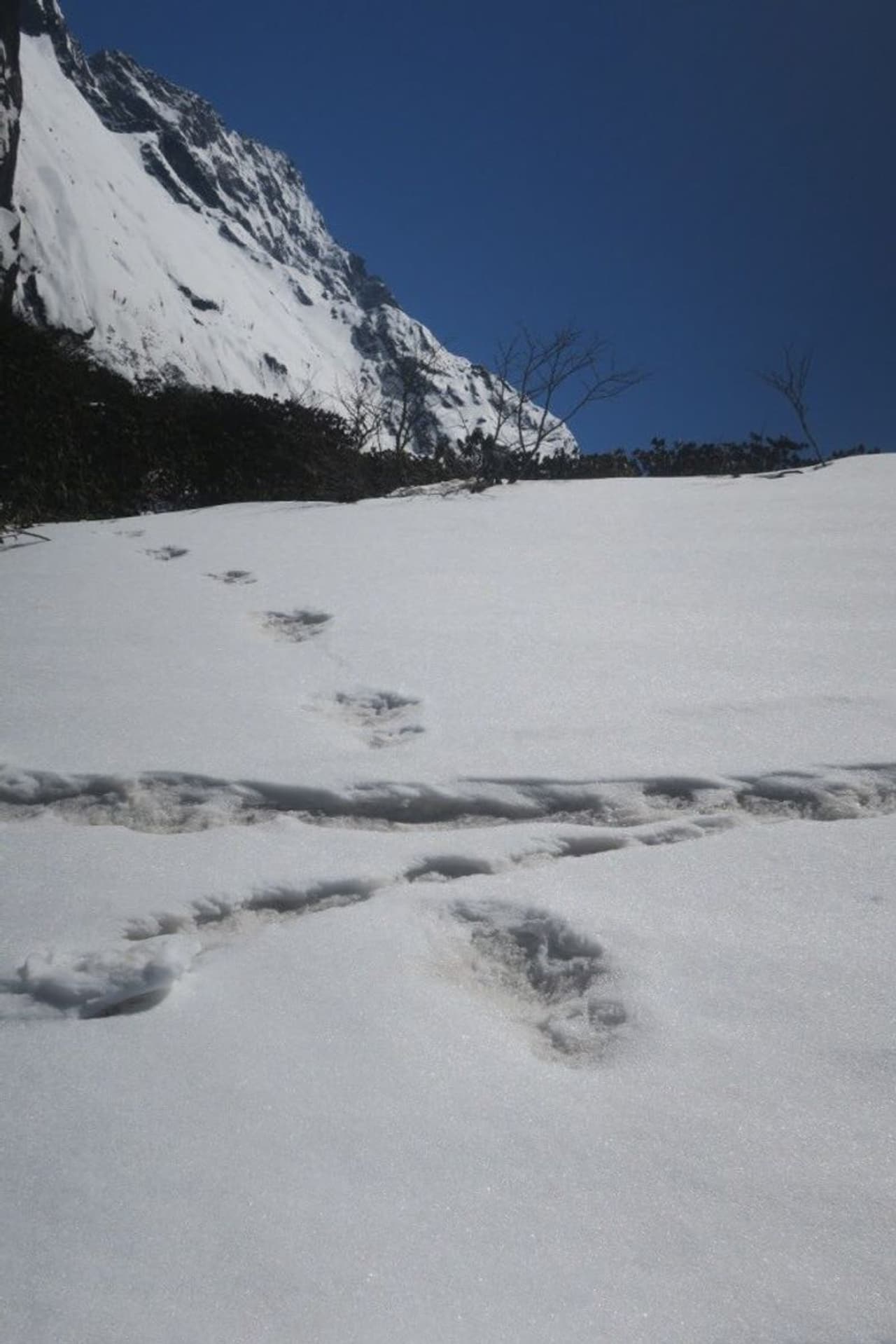 The Indian Army on Tuesday has claimed that one of its team spotted mysterious footprints of mythical creature "Yeti" in Nepal.