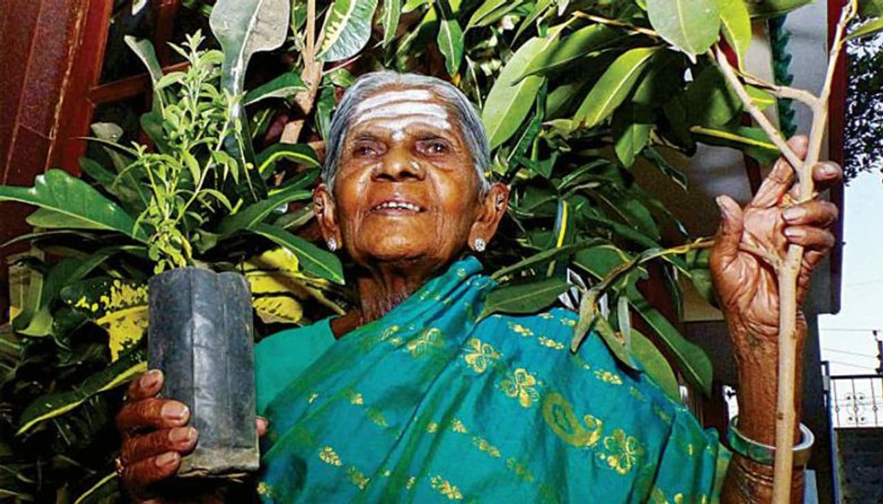 വൃക്ഷങ്ങളുടെ അമ്മ (mother of trees) എന്നാണ് തിമ്മക്ക അറിയപ്പെടുന്നത്. മക്കളില്ലാത്തതിന്‍റെ പേരില്‍ നിരന്തരം പരിഹസിക്കപ്പെട്ടിരുന്നു തിമ്മക്ക. അതവരെയും ഭര്‍ത്താവിനെയും വല്ലാതെ വേദനിപ്പിച്ചു. അങ്ങനെയാണ്, തിമ്മക്കയും ഭര്‍ത്താവ് ബിക്കലൂച്ചിഖയ്യായും ചേര്‍ന്ന് മരങ്ങള്‍ നട്ടു തുടങ്ങിയത്.
