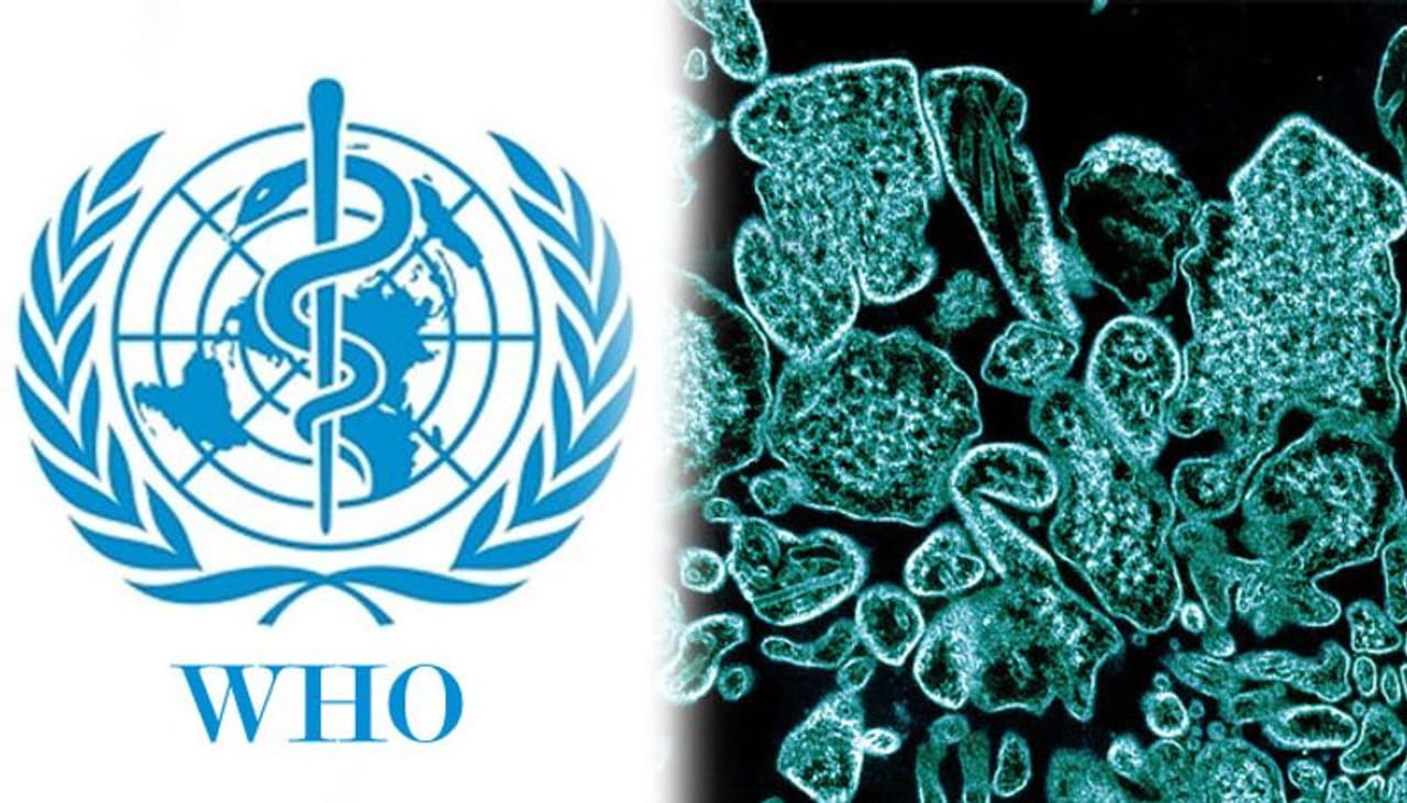 डब्ल्यूएचओ के अनुसार, निपाह वायरस संक्रमण एक नया उभरता हुआ ज़ूनोसिस है, जो कि जानवरों से मनुष्यों में फैलने वाला एक रोग है। यह एक नया वायरस है जिसे हेनीपावायरस (subfamily Paramyxovirinae) कहा जाता है।