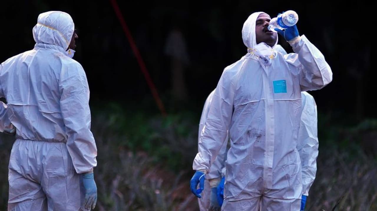 കഴിഞ്ഞ വര്ഷം അക്ഷരാര്ത്ഥത്തില് ഭീതിയുടെ മുള്മുനയില് നിര്ത്തിയായിരുന്നു നിപ വൈറസ് കേരളത്തില് വ്യാപിച്ചത്. പേരാമ്പ്രയ്ക്ക് സമീപത്ത് നിന്ന് കണ്ടെത്തി ജില്ല മുഴുവനും പടരാന് തുടങ്ങും മുമ്പ് ആരോഗ്യവകുപ്പ് കൃത്യമായി ഇടപെടുകയും നിപയുടെ വ്യാപനം തടയുകയും ചെയ്തു. എന്നിട്ടും സിസ്റ്റര് ലിനി അടക്കം 21 ജീവനുകള് കേരളത്തിന് നഷ്ടമായി. കഴിഞ്ഞ വര്ഷം അക്ഷരാര്ത്ഥത്തില് ഭീതിയുടെ മുള്മുനയില് നിര്ത്തിയായിരുന്നു നിപ വൈറസ് കേരളത്തില് വ്യാപിച്ചത്. പേരാമ്പ്രയ്ക്ക് സമീപത്ത് നിന്ന് കണ്ടെത്തി ജില്ല മുഴുവനും പടരാന് തുടങ്ങും മുമ്പ് ആരോഗ്യവകുപ്പ് കൃത്യമായി ഇടപെടുകയും നിപയുടെ വ്യാപനം തടയുകയും ചെയ്തു. എന്നിട്ടും സിസ്റ്റര് ലിനി അടക്കം 21 ജീവനുകള് കേരളത്തിന് നഷ്ടമായി.