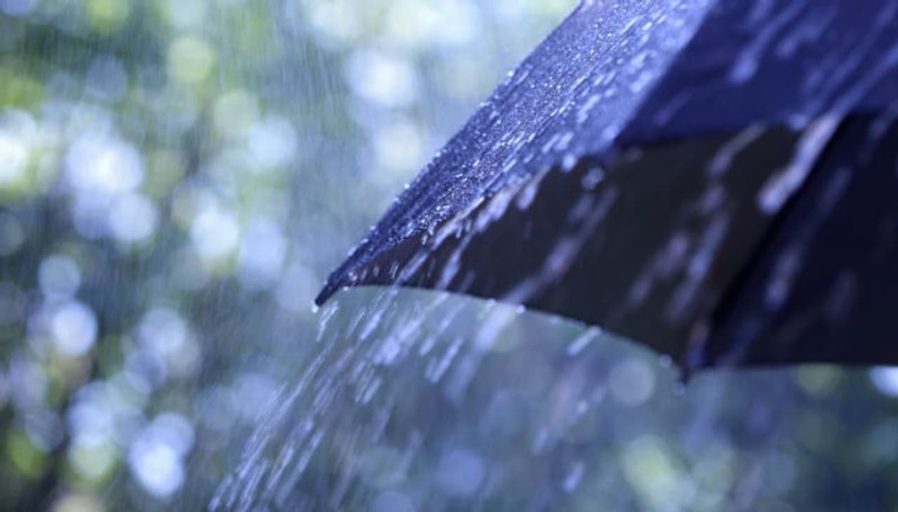 സാധാരണ ജൂൺ ഒന്നുമുതൽ ഇതുവരെ ലഭിക്കേണ്ട മഴയിൽ 30% ഇത്തവണ കുറവാണ്. കറുത്തിരുണ്ട കാർമേഘങ്ങളുടെ തുടർച്ചയായ വരവും ഇടക്കുള്ള പ്രദേശിക മഴയുരണ്ടുദിവസം കൂടി തുടരുമെന്നാണ് കാലവസ്ഥ കേന്ദ്രങ്ങള് പറയുന്നത്. സാധാരണ ജൂൺ ഒന്നുമുതൽ ഇതുവരെ ലഭിക്കേണ്ട മഴയിൽ 30% ഇത്തവണ കുറവാണ്. കറുത്തിരുണ്ട കാർമേഘങ്ങളുടെ തുടർച്ചയായ വരവും ഇടക്കുള്ള പ്രദേശിക മഴയുരണ്ടുദിവസം കൂടി തുടരുമെന്നാണ് കാലവസ്ഥ കേന്ദ്രങ്ങള് പറയുന്നത്.