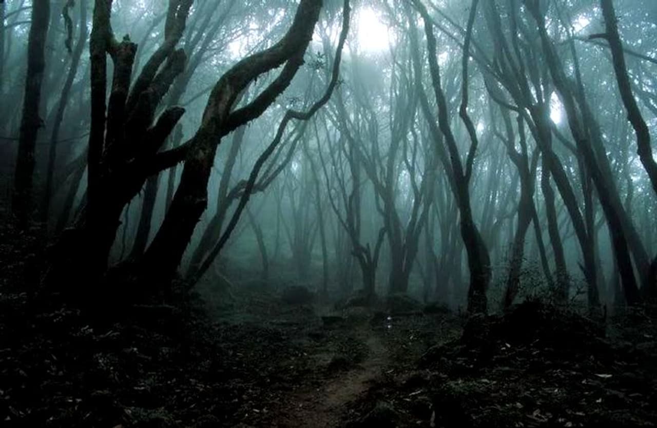 സാക്ഷാല്‍ ഡ്രാക്കുള പ്രഭുവിന്‍റെ നാടായ റൊമാനിയയിലെ ട്രാന്‍സില്‍വാനിയയിലെ പ്രേതവനം. റുമേനിയയുടെ ബര്‍മുഡാ ട്രയംഗിള്‍ എന്ന് ഓമനപ്പേര്. അജ്ഞാതവും നിഗൂഢവുമായ പ്രതിഭാസങ്ങളാല്‍ കുപ്രസിദ്ധം.