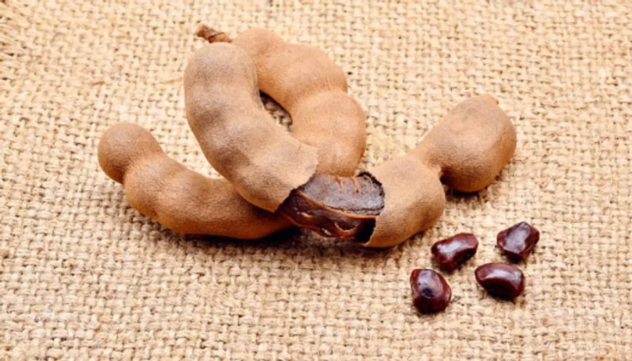 చింత గింజ‌లకు ఫుడ్ డిమాండ్