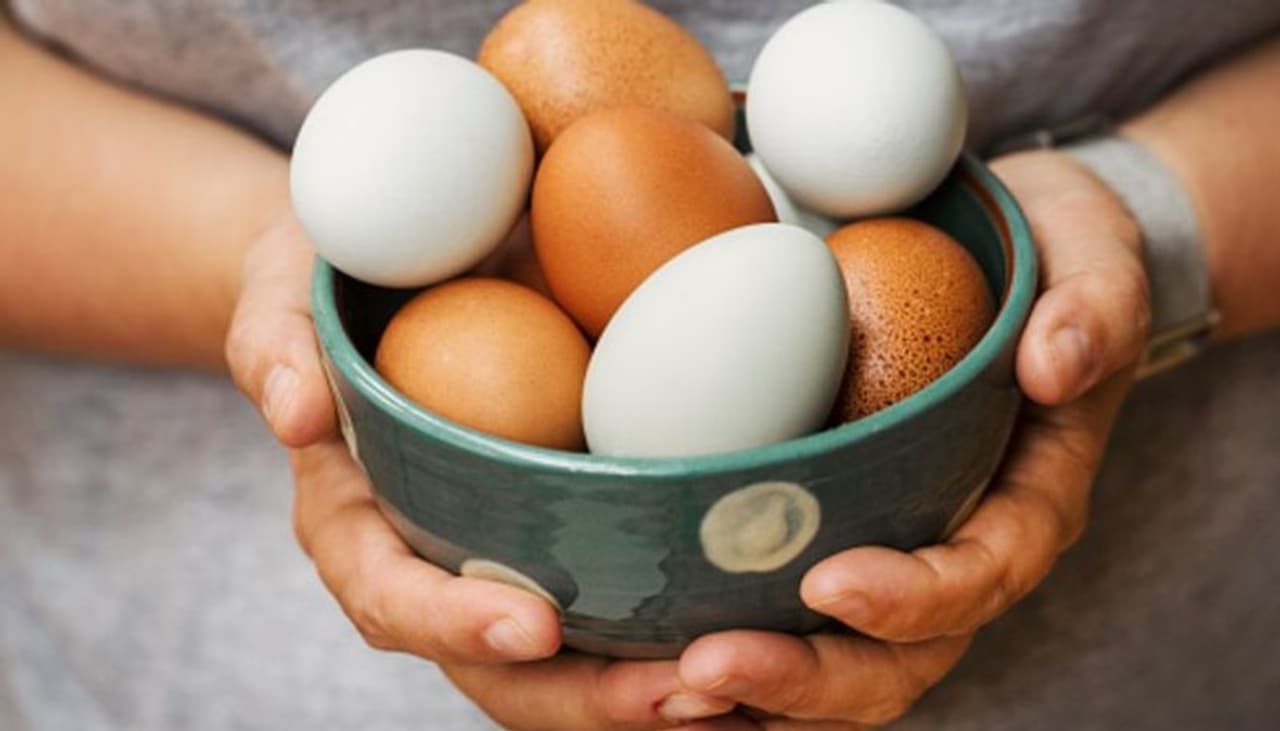 ಚಳಿಗಾಲದಲ್ಲಿ ಮೊಟ್ಟೆ ಚಳಿಗಾಲದಲ್ಲಿ ಮೊಟ್ಟೆ