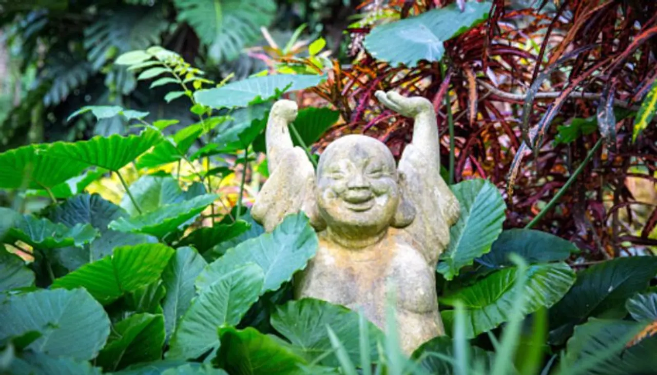 <p>ಲಾಫಿಂಗ್ ಬುದ್ಧನ ಪ್ರತಿಮೆಯನ್ನು ಸರಿಯಾದ ಸ್ಥಳದಲ್ಲಿ ಇಡುವುದು ಬಹಳ ಮುಖ್ಯ. ಬುದ್ಧನನ್ನು ಮನೆಯ ಹೊರಗೆ ಇಡುವುದು ಅದೃಷ್ಟವೆಂದು ಪರಿಗಣಿಸಲಾಗುವುದಿಲ್ಲ. ಮನೆಗಾಗಿ ಬುದ್ಧನ ಪ್ರತಿಮೆಯನ್ನು ಇಡಲು ಉತ್ತಮ ಸ್ಥಳವೆಂದರೆ ವಾಸದ ಕೋಣೆ.</p> <p>ಲಾಫಿಂಗ್ ಬುದ್ಧನ ಪ್ರತಿಮೆಯನ್ನು ಸರಿಯಾದ ಸ್ಥಳದಲ್ಲಿ ಇಡುವುದು ಬಹಳ ಮುಖ್ಯ. ಬುದ್ಧನನ್ನು ಮನೆಯ ಹೊರಗೆ ಇಡುವುದು ಅದೃಷ್ಟವೆಂದು ಪರಿಗಣಿಸಲಾಗುವುದಿಲ್ಲ. ಮನೆಗಾಗಿ ಬುದ್ಧನ ಪ್ರತಿಮೆಯನ್ನು ಇಡಲು ಉತ್ತಮ ಸ್ಥಳವೆಂದರೆ ವಾಸದ ಕೋಣೆ.</p>