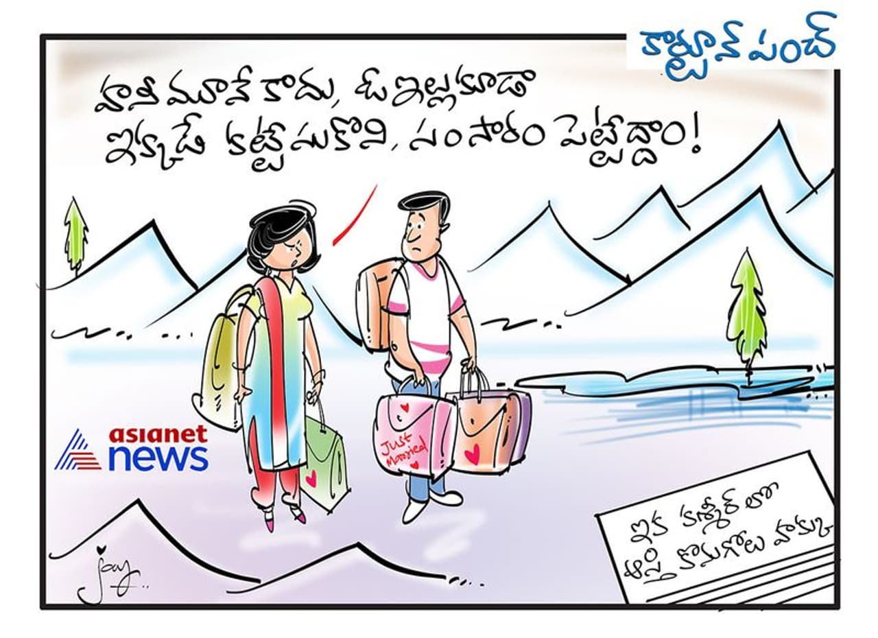 కార్టూన్ పంచ్