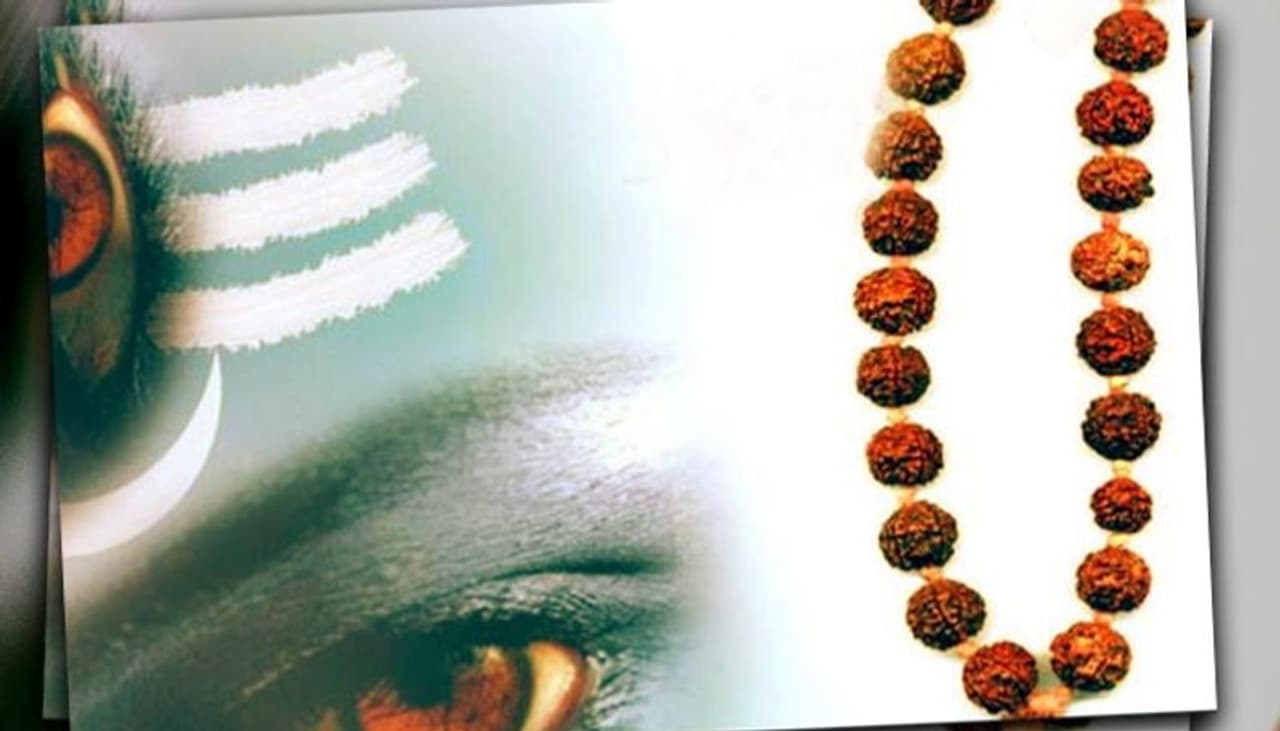 ರುದ್ರಾಕ್ಷಿಯು ಶಿವನ ಕಣ್ಣೀರಿನಿಂದ ತಯಾರಿಸಲ್ಪಟ್ಟಿದೆ