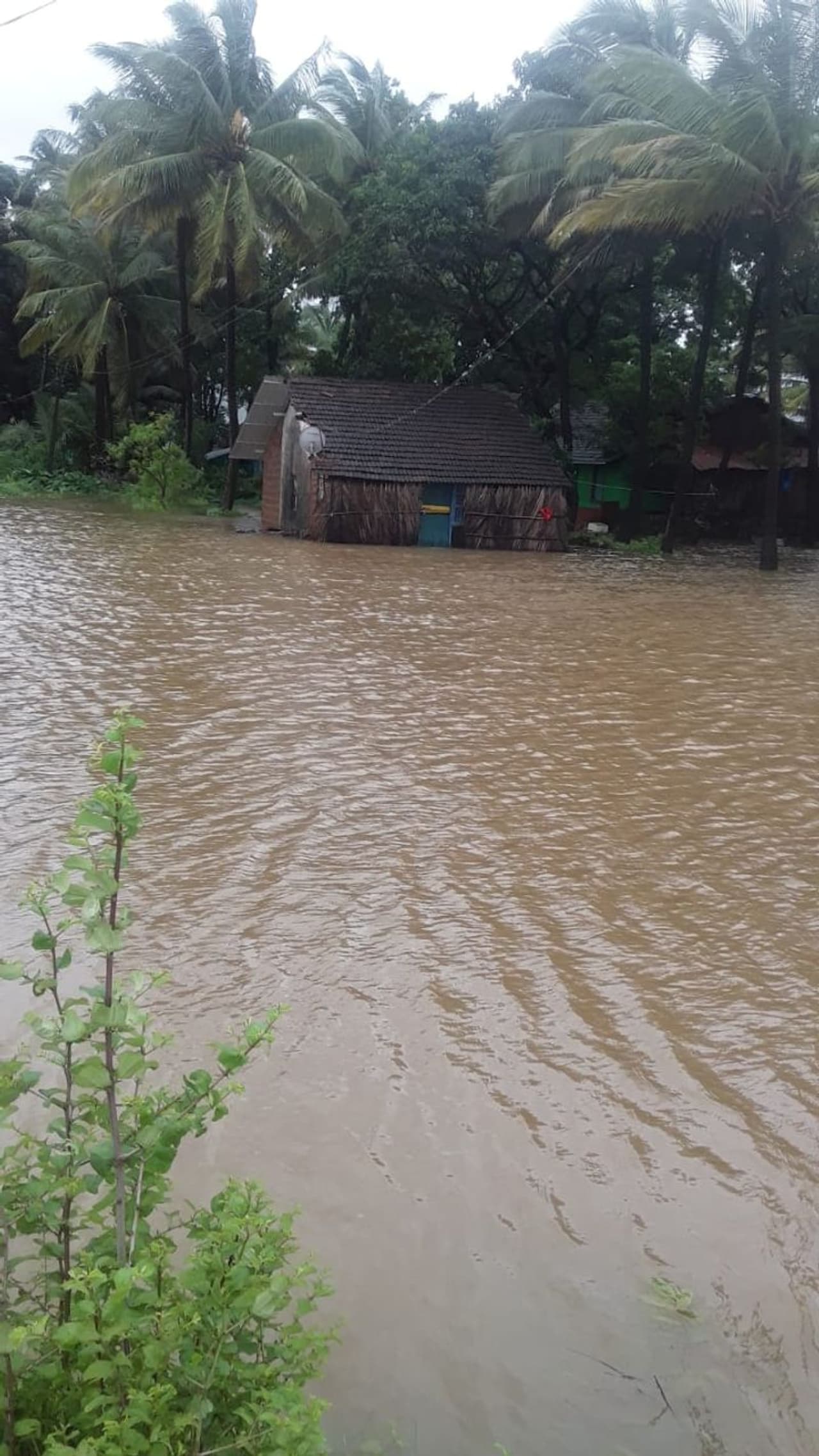 ಕಾರವಾರದ ಕಿನ್ನರ ಗ್ರಾಮಕ್ಕೆ ನುಗ್ಗಿದ ನೀರು ಕಾರವಾರದ ಕಿನ್ನರ ಗ್ರಾಮಕ್ಕೆ ನುಗ್ಗಿದ ನೀರು