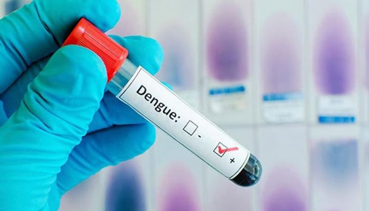 dengue