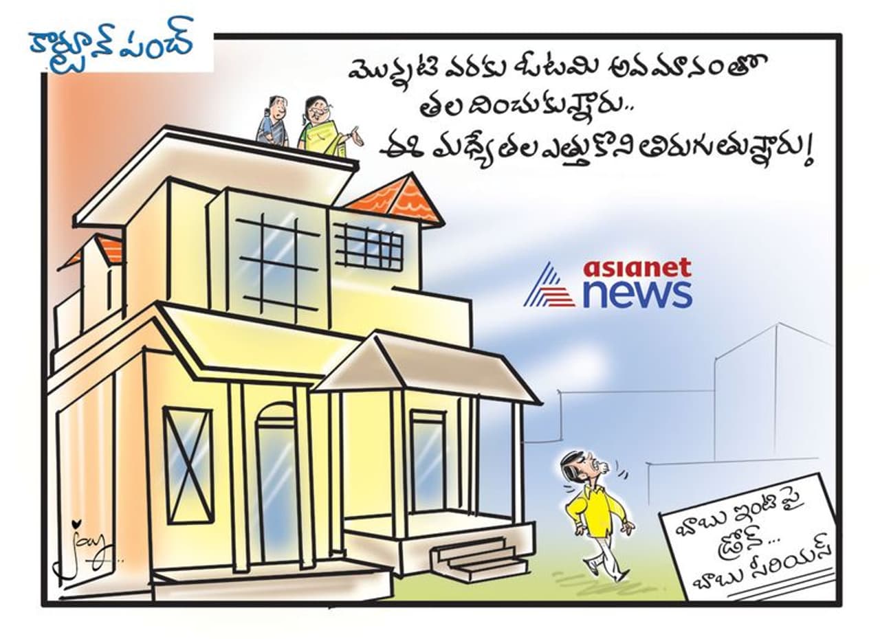 కార్టూన్ పంచ్