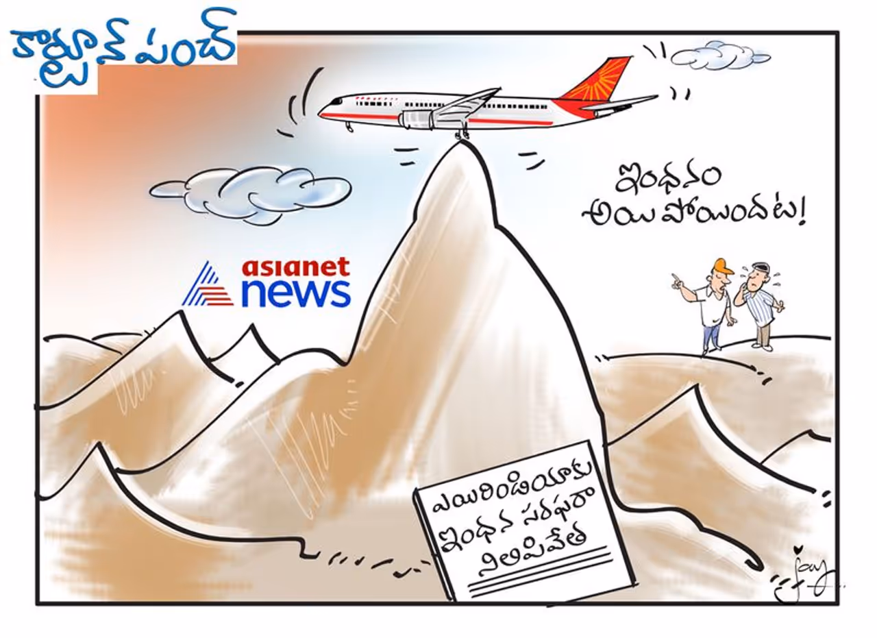 కార్టూన్ పంచ్