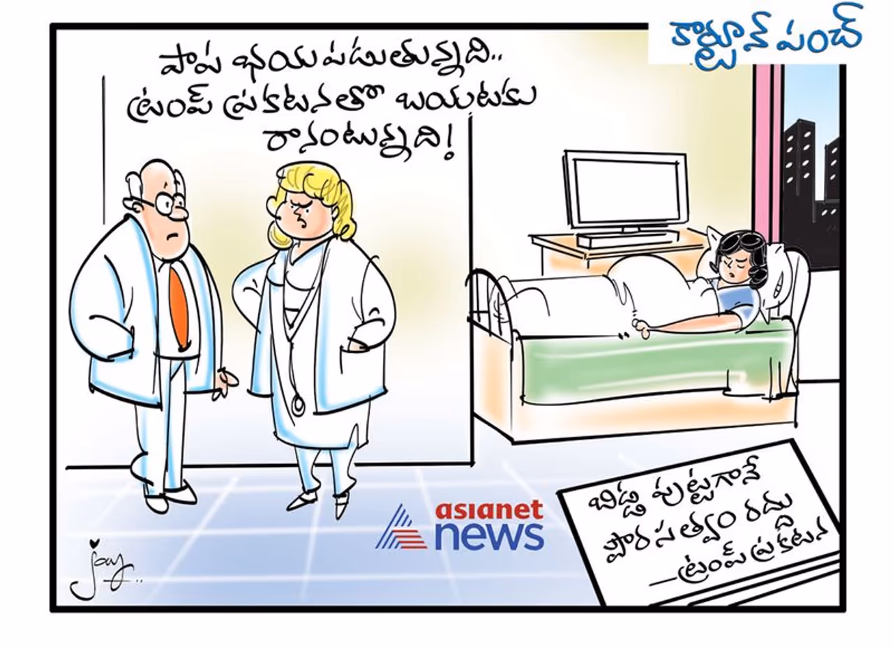 కార్టూన్ పంచ్