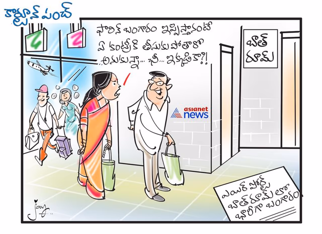 కార్టూన్ పంచ్