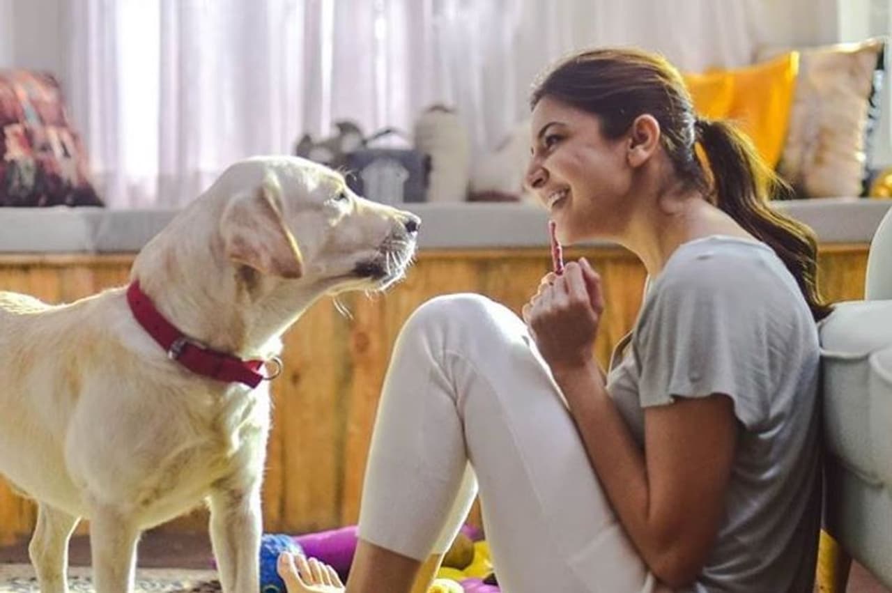 बॉलीवुड एक्ट्रेस अनुष्का शर्मा के प्यारे डॉगी का नाम है डूड। अनुष्का आए दिन ट्विटर और इंस्टाग्राम पर अपनी और डूड की तस्वीरें और वीडियोज पोस्ट करती रहती हैं। यही नहीं अनुष्का ने अपने डॉगी डूड के नाम से साथ शर्मा टाइटल भी जोड़ दिया है। अब इसका नाम है डॉगी डूड शर्मा।