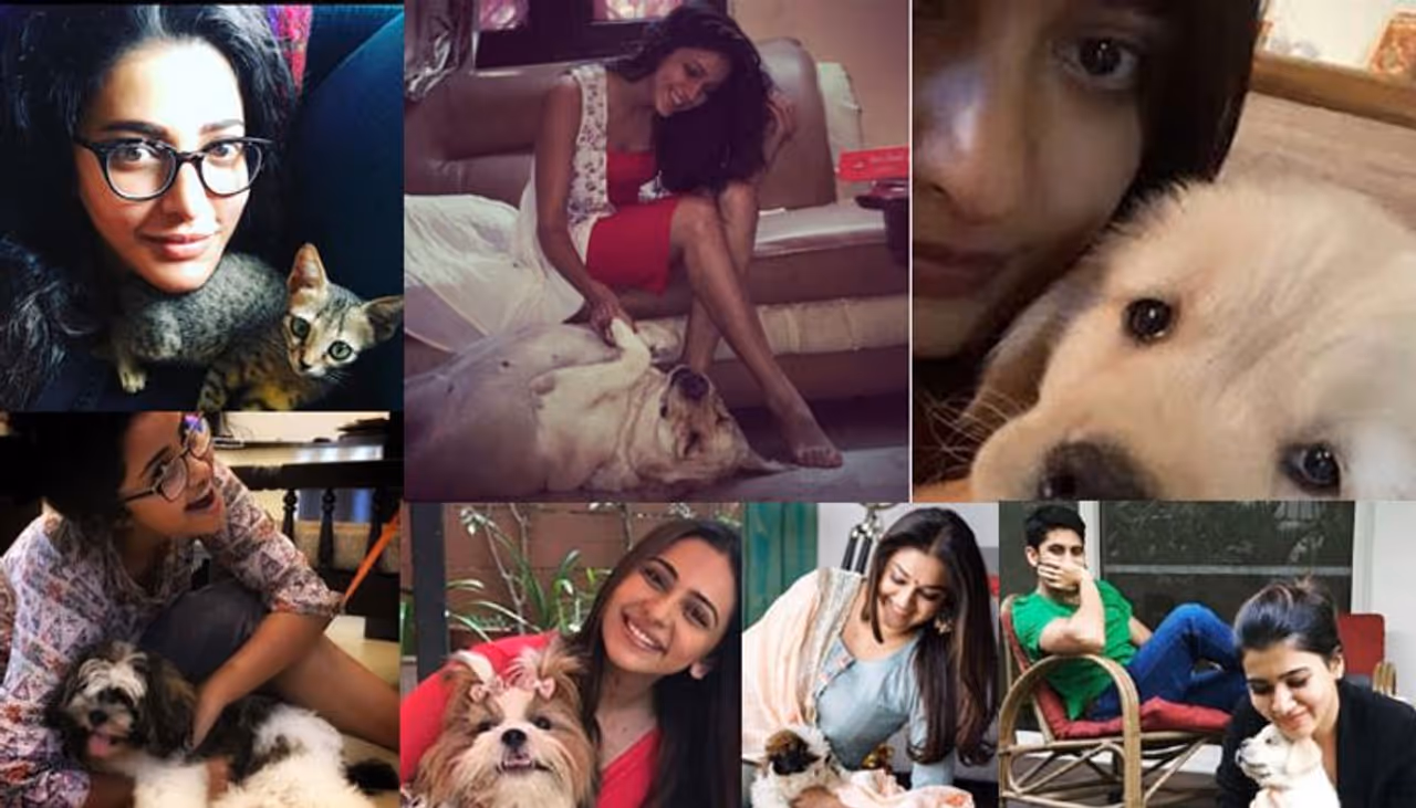 టాలీవుడ్ ముద్దుగుమ్మల్లో చాలా మంది జంతుప్రేమికులు ఉన్నారు. మన హీరోయిన్స్ చాలా మందికి పెంపుడు జంతువులు ఉన్నాయి. వాటిని ఇంట్లో మనుషుల్లానే చూసుకుంటూ ఉంటారు. టైం దొరికితే తమ పెంపుడు జంతువులతో సమయం వెచ్చించాలని చూస్తుంటారు. కొంతమంది తారలు సోషల్ మీడియాలో ఫోటోలు కూడా షేర్ చేస్తుంటారు. అంతగా మూగజీవాలను ప్రేమించే మన తారలెవరో ఇప్పుడు చూద్దాం! టాలీవుడ్ ముద్దుగుమ్మల్లో చాలా మంది జంతుప్రేమికులు ఉన్నారు. మన హీరోయిన్స్ చాలా మందికి పెంపుడు జంతువులు ఉన్నాయి. వాటిని ఇంట్లో మనుషుల్లానే చూసుకుంటూ ఉంటారు. టైం దొరికితే తమ పెంపుడు జంతువులతో సమయం వెచ్చించాలని చూస్తుంటారు. కొంతమంది తారలు సోషల్ మీడియాలో ఫోటోలు కూడా షేర్ చేస్తుంటారు. అంతగా మూగజీవాలను ప్రేమించే మన తారలెవరో ఇప్పుడు చూద్దాం!