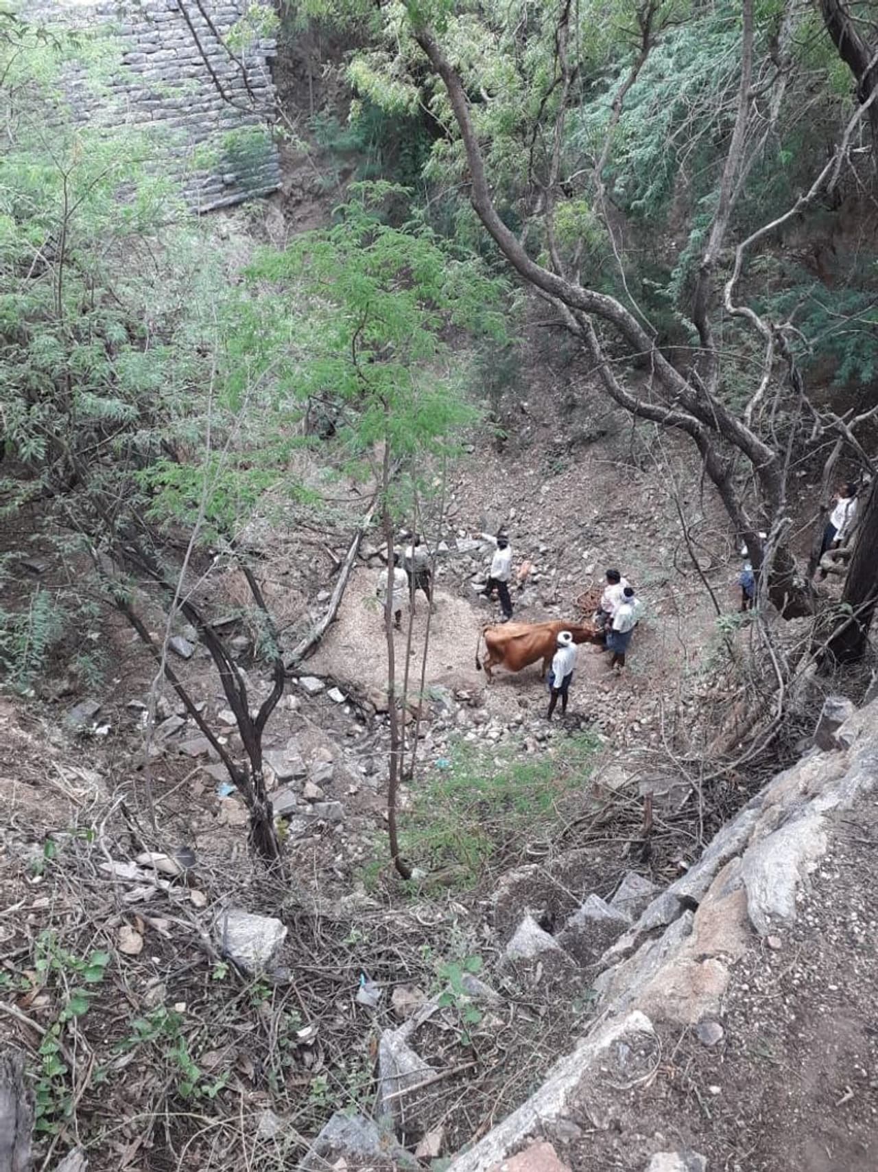 ಚಿತ್ರದುರ್ಗ ಜಿಲ್ಲೆಯ ಹನುಮಂತನಹಳ್ಳಿಯಲ್ಲಿ 35 ಅಡಿ ಆಳದ ಪಾಳುಬಾವಿಗೆ ಬಿದ್ದಿದ್ದ ಹಸು ರಕ್ಷಣೆ ಮಾಡಲಾಗಿದೆ. ಚಿತ್ರದುರ್ಗ ಜಿಲ್ಲೆಯ ಹನುಮಂತನಹಳ್ಳಿಯಲ್ಲಿ 35 ಅಡಿ ಆಳದ ಪಾಳುಬಾವಿಗೆ ಬಿದ್ದಿದ್ದ ಹಸು ರಕ್ಷಣೆ ಮಾಡಲಾಗಿದೆ.