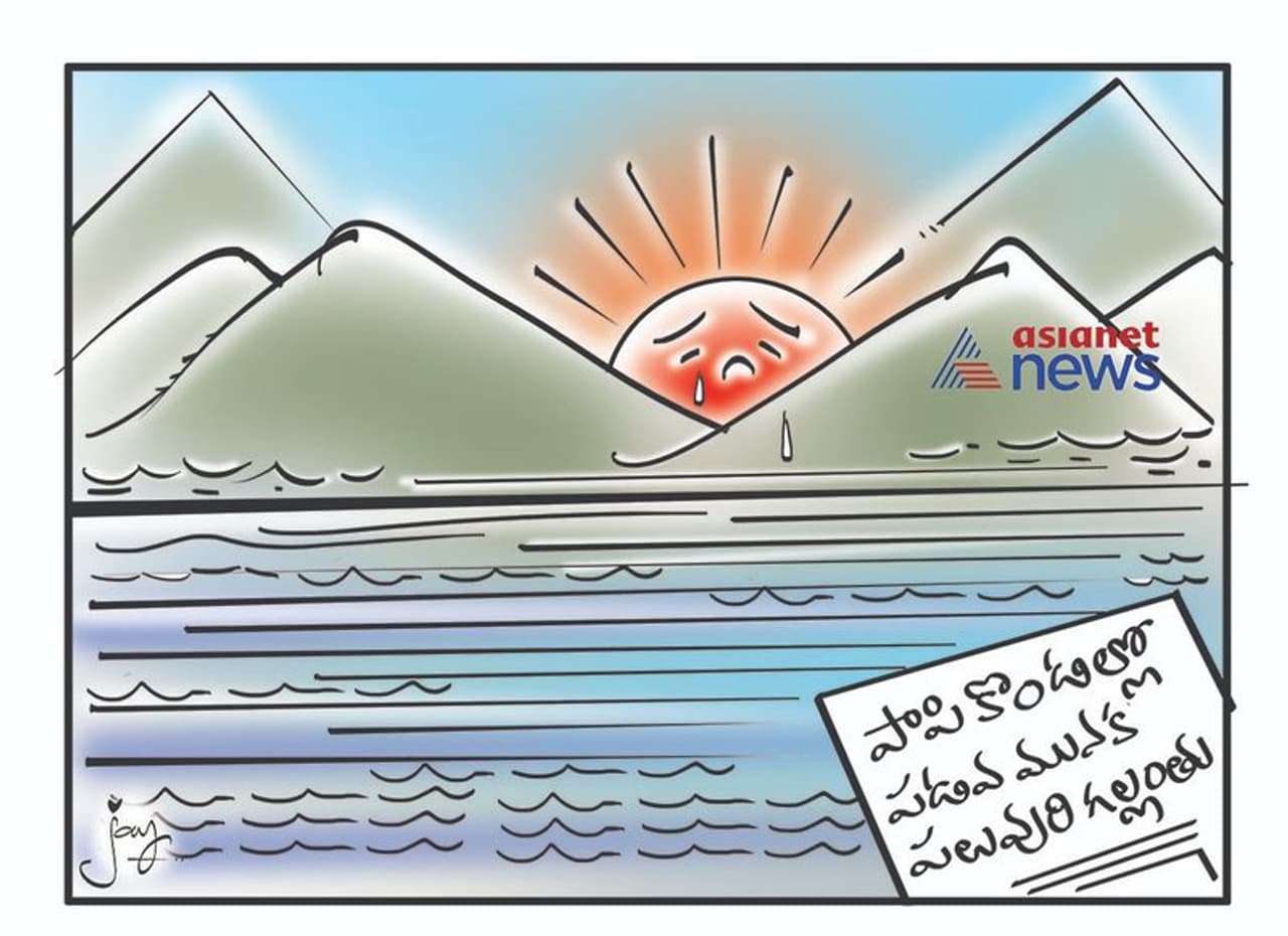 కార్టూన్ పంచ్