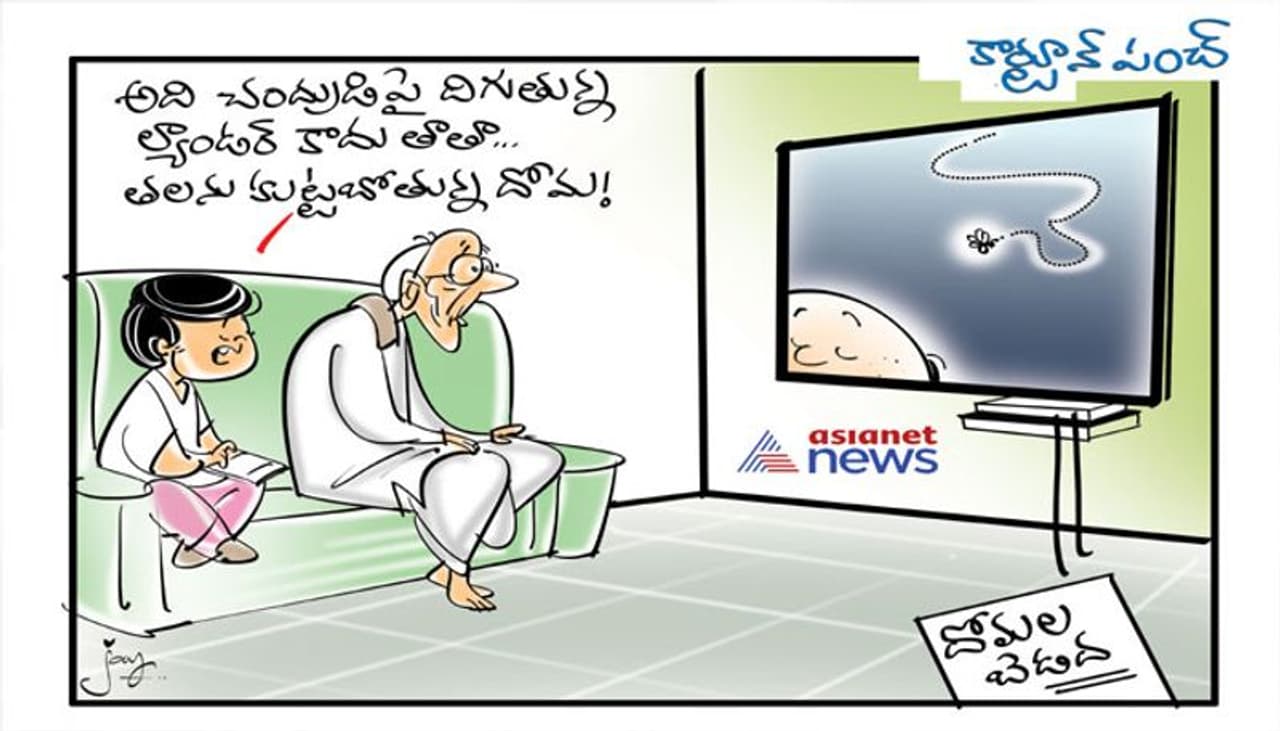 The worst mosquitoes in city