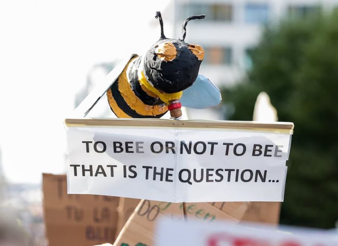 യുഎന്നിന്‍റെ നേതൃത്വത്തില്‍ അമേരിക്കയില്‍ നടക്കുന്ന കാലാവസ്ഥാ ഉച്ചകോടിക്കിടെ ഗ്രേറ്റയും സുഹൃത്തുക്കളും ഫ്രാന്‍സ് അടക്കമുള്ള അഞ്ച് രാജ്യങ്ങള്‍ക്കെതിരെ യുണൈറ്റഡ് നാഷണല്‍ ഓര്‍ഗനൈസേഷനില്‍ നല്‍കി. കാലാവസ്ഥ വ്യതിയാനം നേരിടാന്‍ കൃത്യമായ നടപടികള്‍ സ്വീകരിക്കാന്‍ ഈ രാജ്യങ്ങള്‍ തയ്യാറാകുന്നില്ലെന്നായിരുന്നു ഇവരുടെ പരാതി.