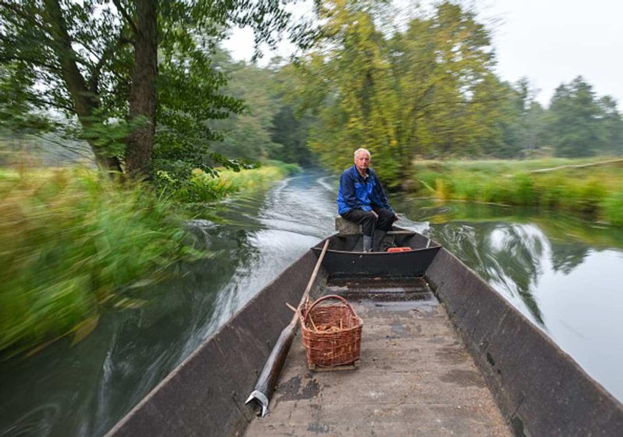 ജര്മ്മനിയിലെ ലെഹ്ഡെ ഗ്രാമത്തിലെ കർഷകനായ ഹരാൾഡ് വെൻസ്കെയ്ക്ക് ഇത്തവണ സമൃദ്ധമായ മത്തങ്ങ വിളവെടുപ്പാണ് കിട്ടിയത്. പുതുതായി വിളവെടുത്ത മത്തങ്ങകൾ സ്പ്രിവാൾഡിലെ കനാലിലൂടെ ഹരാള്ഡ് തന്റെ വീട്ടിലേക്ക് കൊണ്ട് പോകുന്നു. ജര്മ്മനിയിലെ ലെഹ്ഡെ ഗ്രാമത്തിലെ കർഷകനായ ഹരാൾഡ് വെൻസ്കെയ്ക്ക് ഇത്തവണ സമൃദ്ധമായ മത്തങ്ങ വിളവെടുപ്പാണ് കിട്ടിയത്. പുതുതായി വിളവെടുത്ത മത്തങ്ങകൾ സ്പ്രിവാൾഡിലെ കനാലിലൂടെ ഹരാള്ഡ് തന്റെ വീട്ടിലേക്ക് കൊണ്ട് പോകുന്നു.