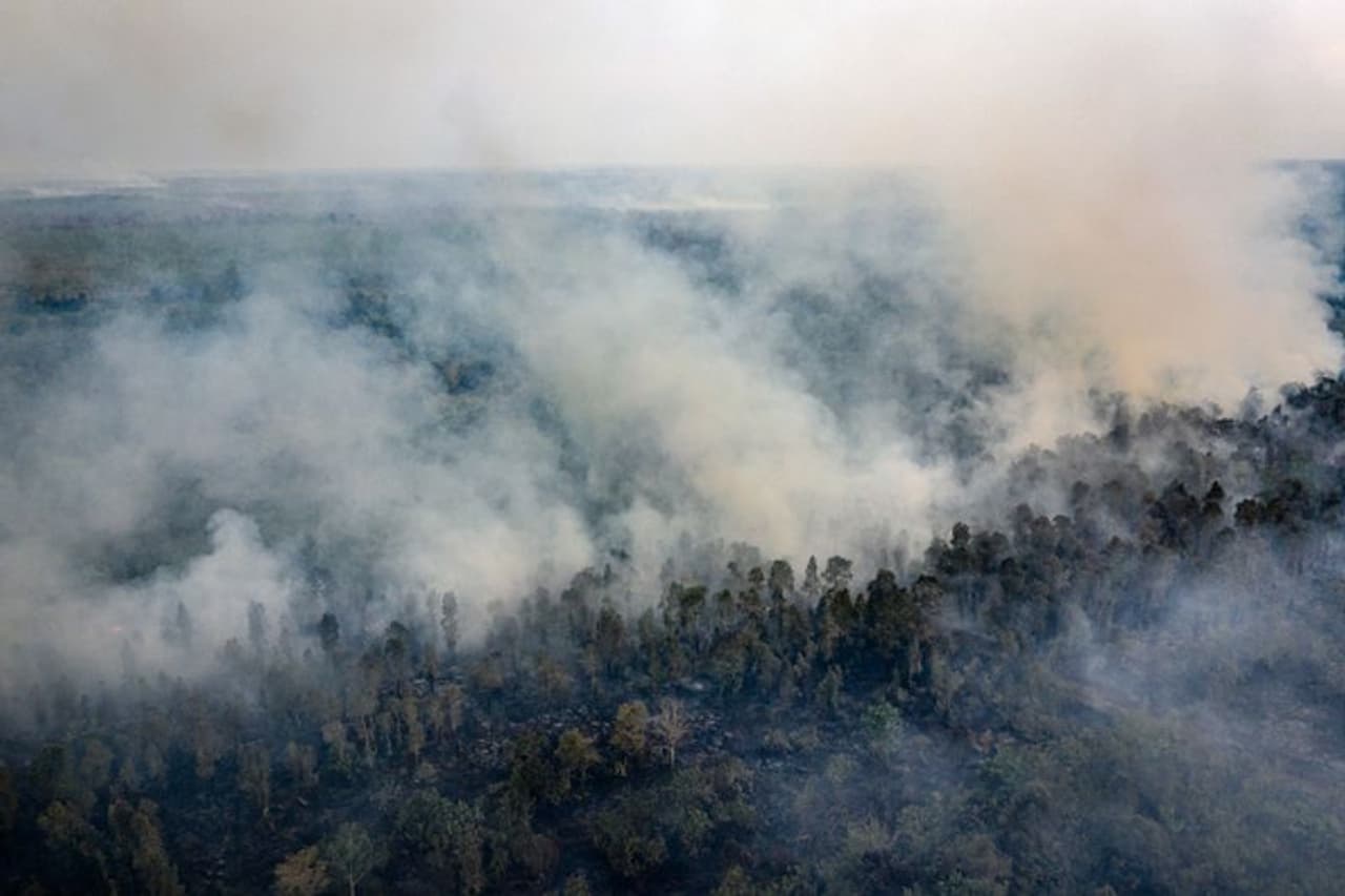 ഇന്തോനേഷ്യന് ഡമോക്രാറ്റിക്ക് പാര്ട്ടി ഓഫ് സ്ട്രഗിള് എന്ന പാര്ട്ടിയാണ് ഇപ്പോള് ഇന്ത്യോനേഷ്യ ഭരിക്കുന്നത്. പ്രസിഡന്റ് ജോകോ വിഡോഡോ ലൈംഗീകത, അഴിമതി എന്നിവയില് പുതുയ നിയമം കൊണ്ടുവരാനുള്ള ശ്രമം നടത്തിയത് ഇന്ത്യോനേഷ്യയിലെ മുഴുവന് വിദ്യാര്ത്ഥികളെയും തെരുവുകളിലാണ് എത്തിച്ചത്. ഇന്തോനേഷ്യന് ഡമോക്രാറ്റിക്ക് പാര്ട്ടി ഓഫ് സ്ട്രഗിള് എന്ന പാര്ട്ടിയാണ് ഇപ്പോള് ഇന്ത്യോനേഷ്യ ഭരിക്കുന്നത്. പ്രസിഡന്റ് ജോകോ വിഡോഡോ ലൈംഗീകത, അഴിമതി എന്നിവയില് പുതുയ നിയമം കൊണ്ടുവരാനുള്ള ശ്രമം നടത്തിയത് ഇന്ത്യോനേഷ്യയിലെ മുഴുവന് വിദ്യാര്ത്ഥികളെയും തെരുവുകളിലാണ് എത്തിച്ചത്.